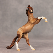 Aspen LE-5 Chip Mustang by Julie Keim May $99 Chips