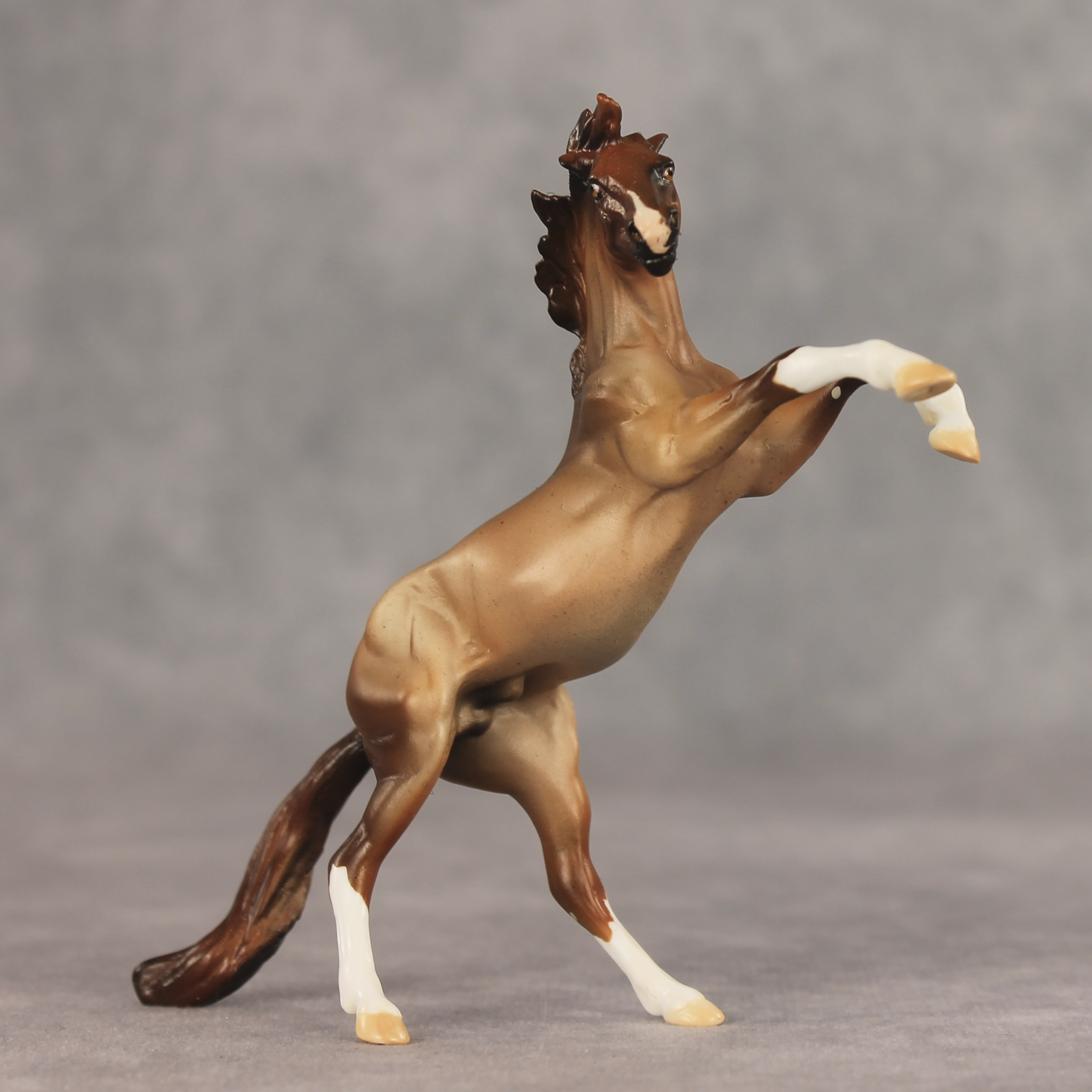 Aspen LE-5 Chip Mustang by Julie Keim May $99 Chips