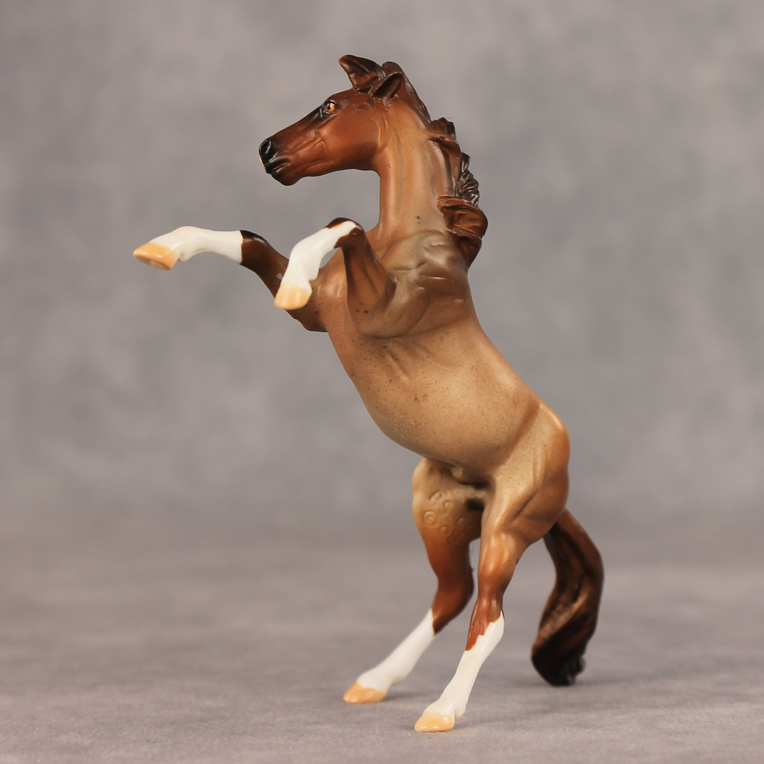 Aspen LE-5 Chip Mustang by Julie Keim May $99 Chips