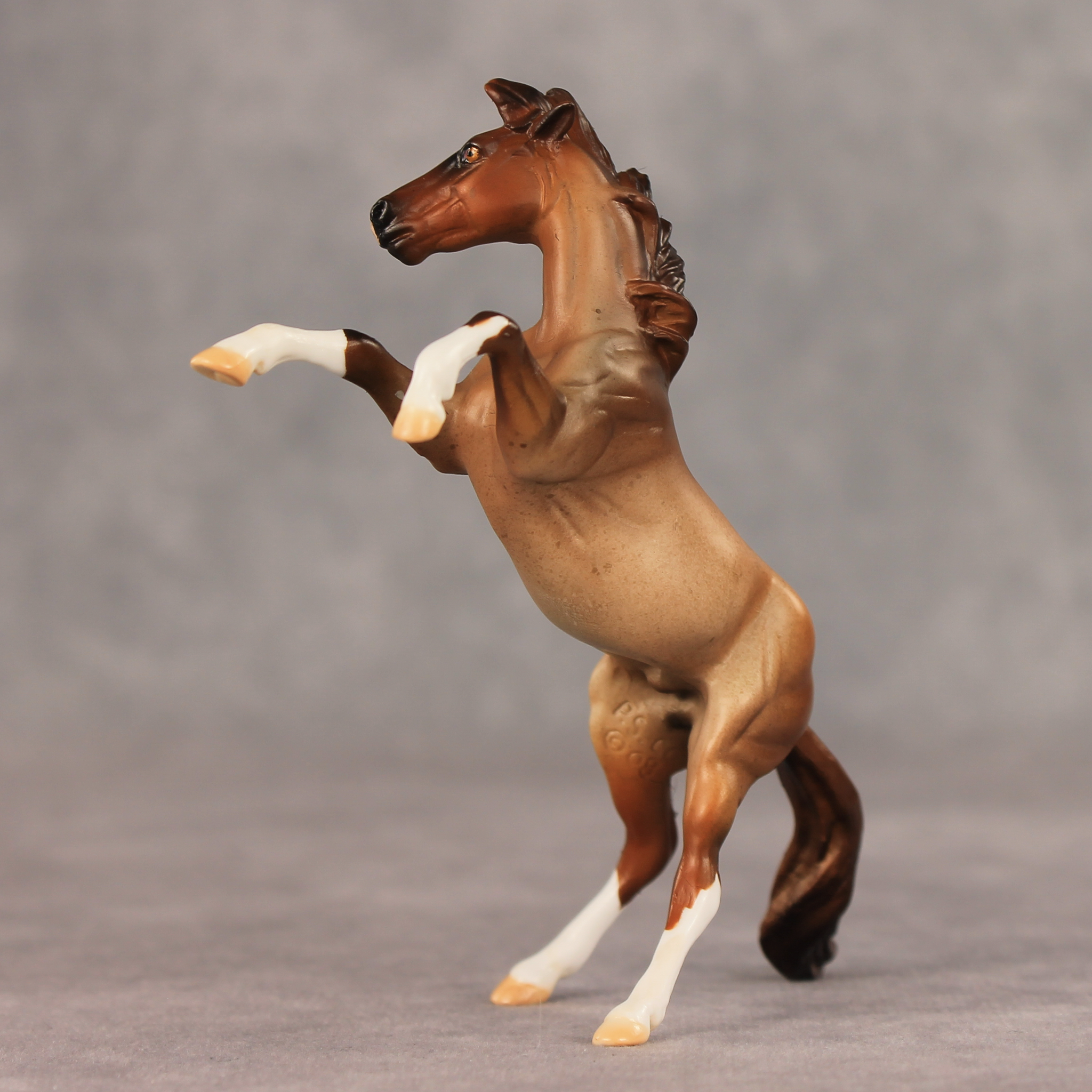 Aspen LE-5 Chip Mustang by Julie Keim May $99 Chips