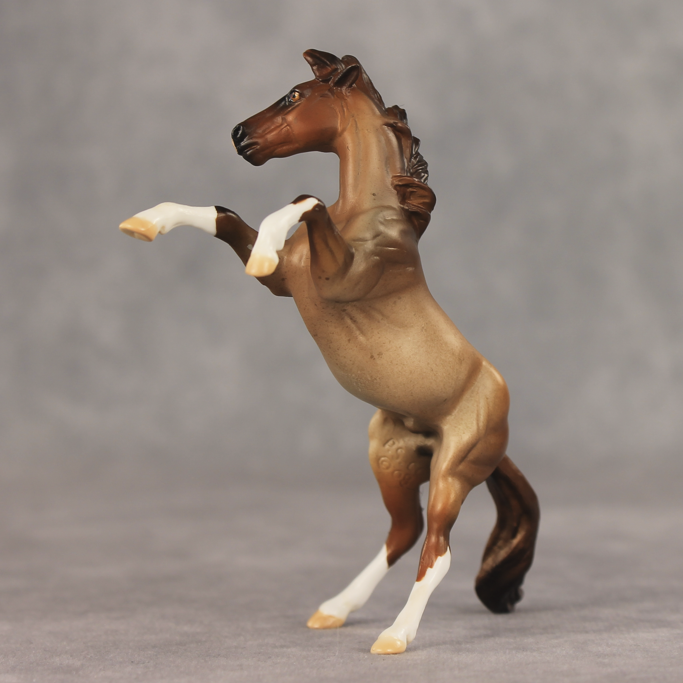 Aspen LE-5 Chip Mustang by Julie Keim May $99 Chips