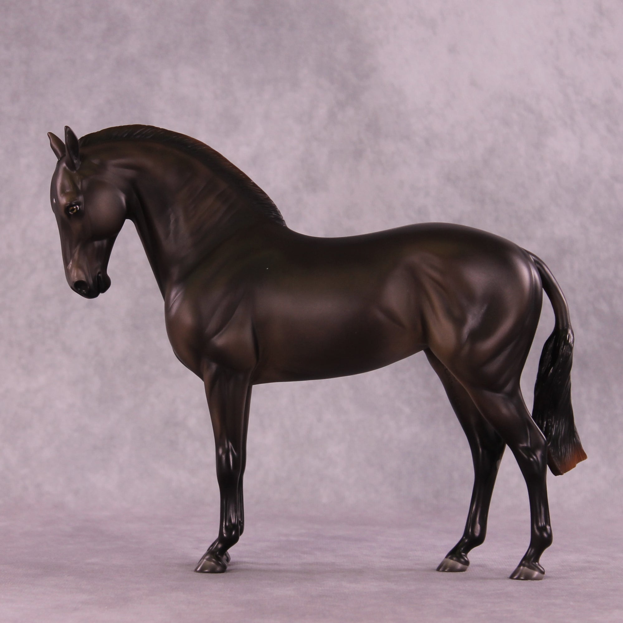 Mistral Sample FCM Andalusian by Ashley Palmer SS925