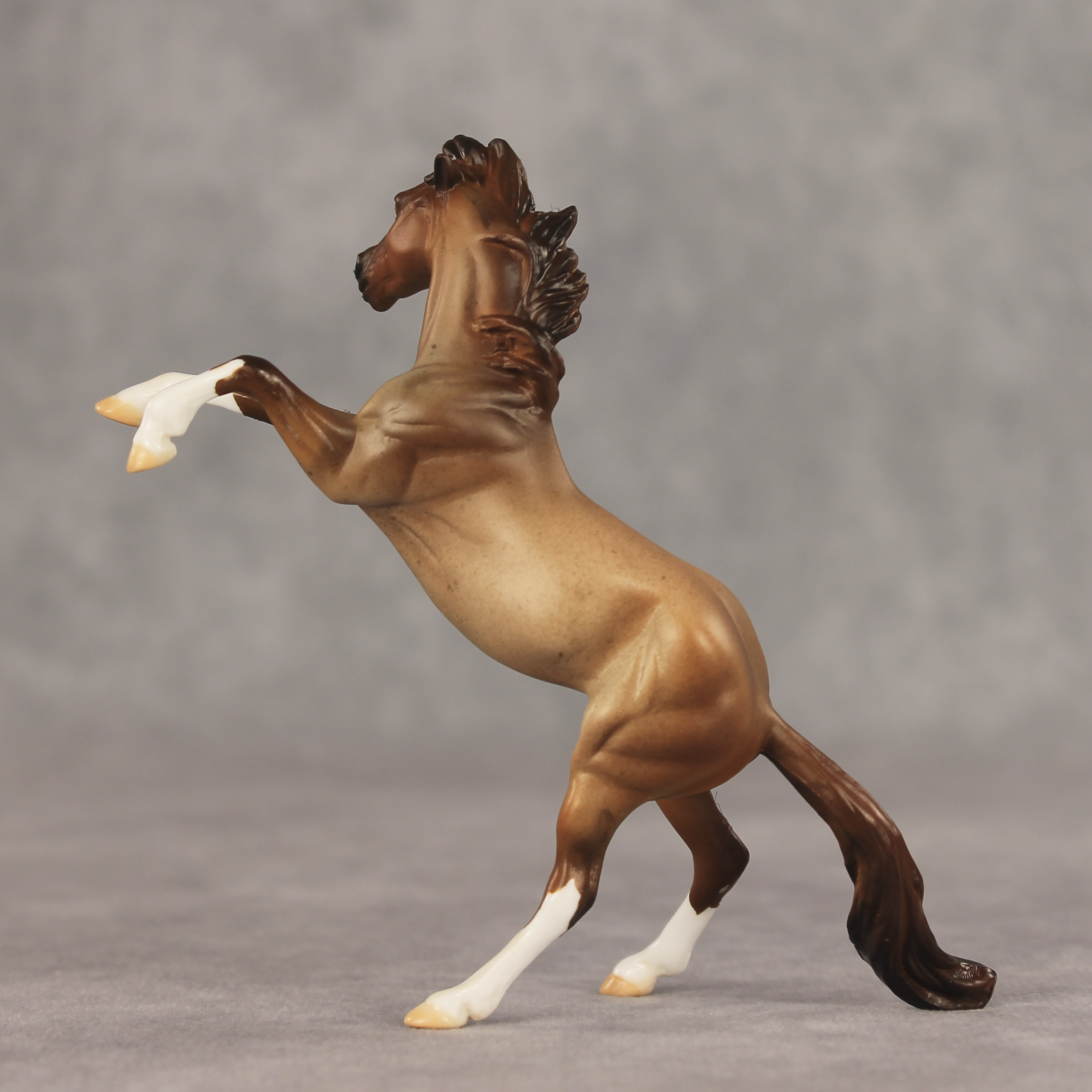 Aspen LE-5 Chip Mustang by Julie Keim May $99 Chips