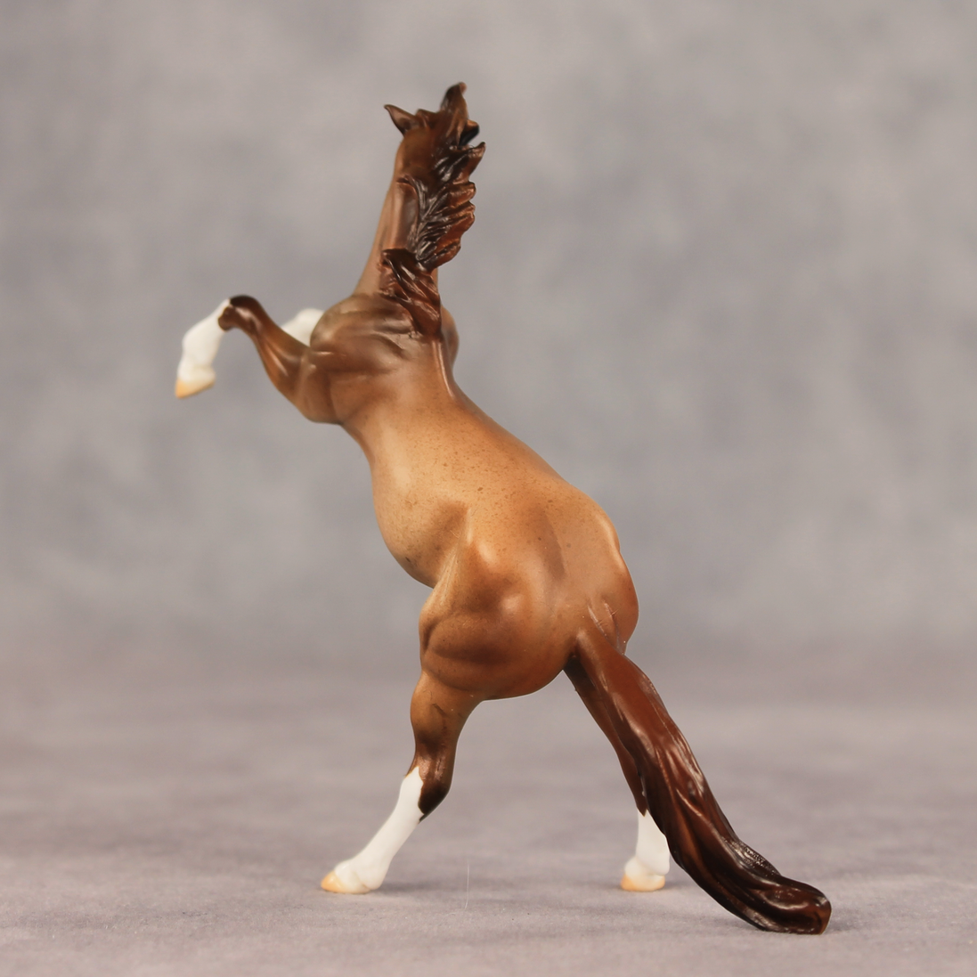 Aspen LE-5 Chip Mustang by Julie Keim May $99 Chips