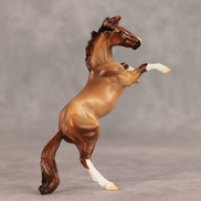 Aspen LE-5 Chip Mustang by Julie Keim May $99 Chips