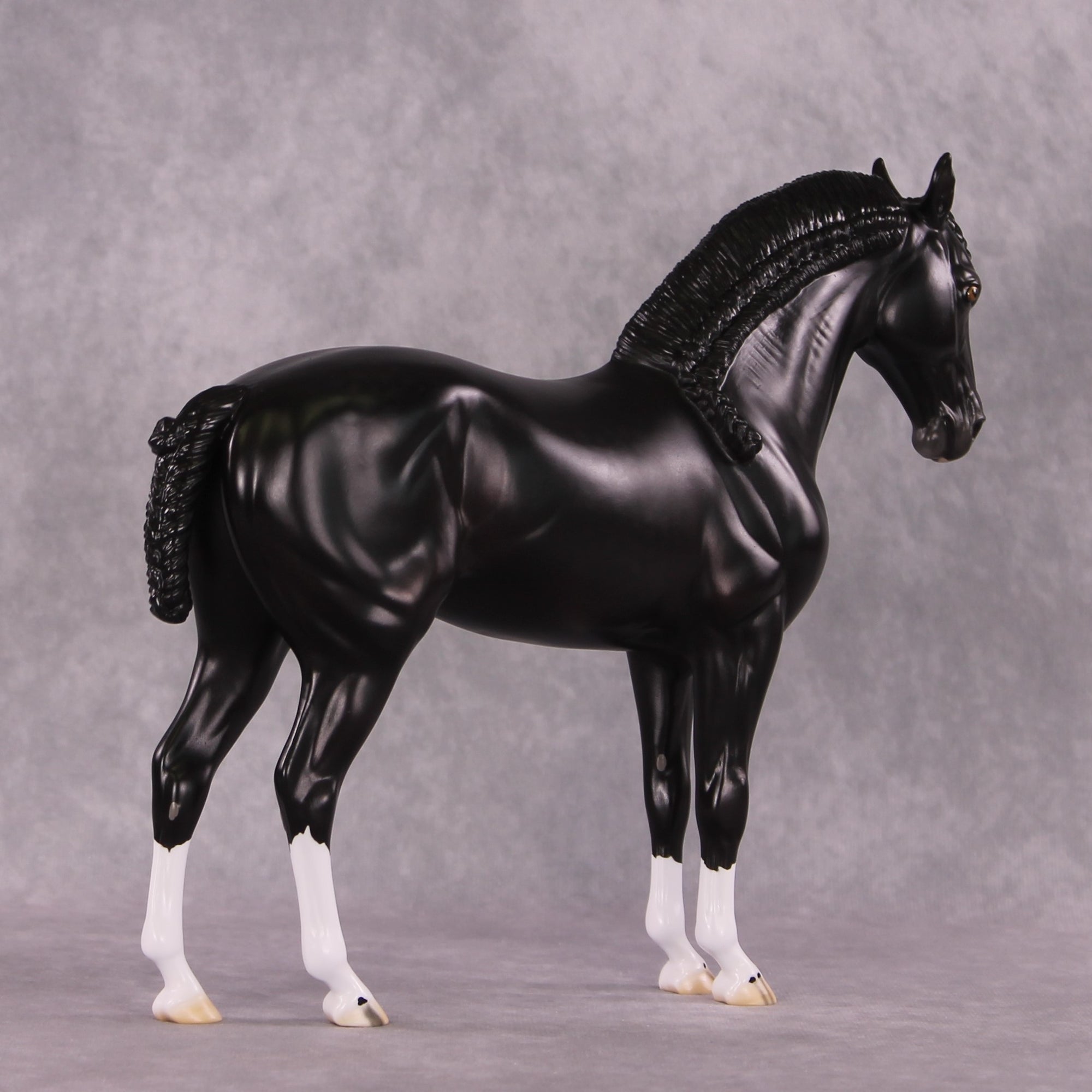 “Petruchio” LE-15  FCM Andalusian By Ellen Robbins CL25