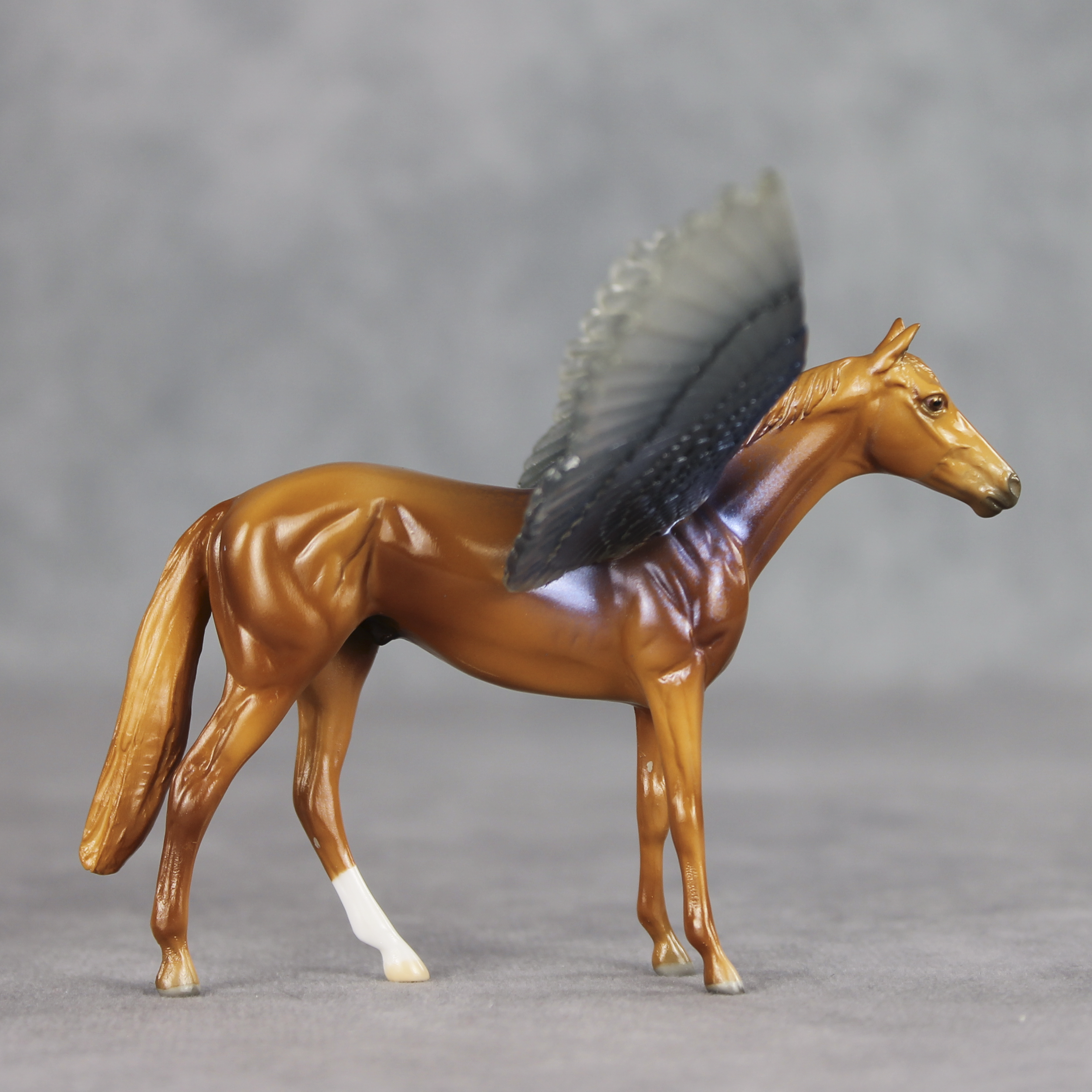 Clearwater FCM LE-2 FCM Chip Thoroughbred by Angela Marleau FTF26