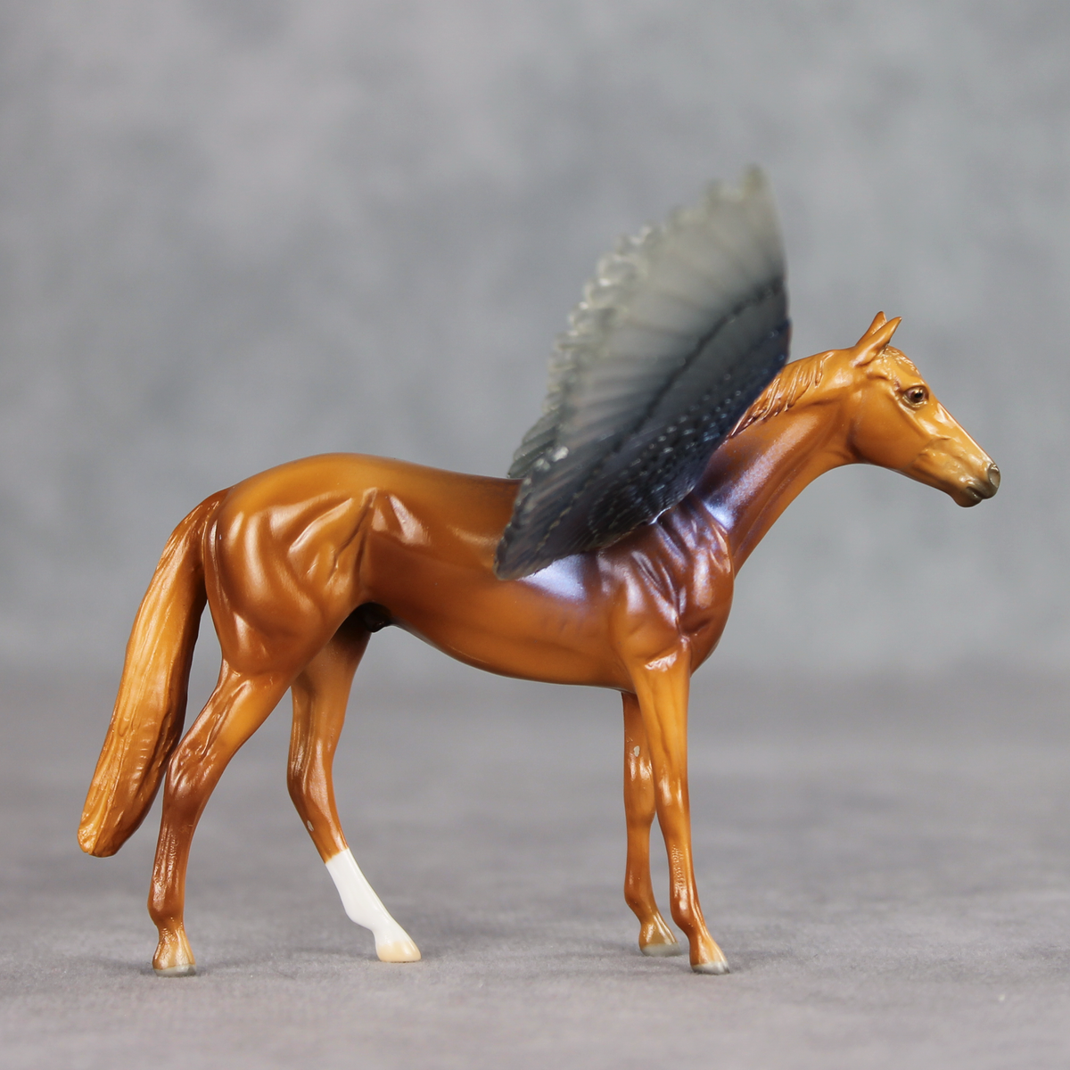 Clearwater FCM LE-2 FCM Chip Thoroughbred by Angela Marleau FTF26