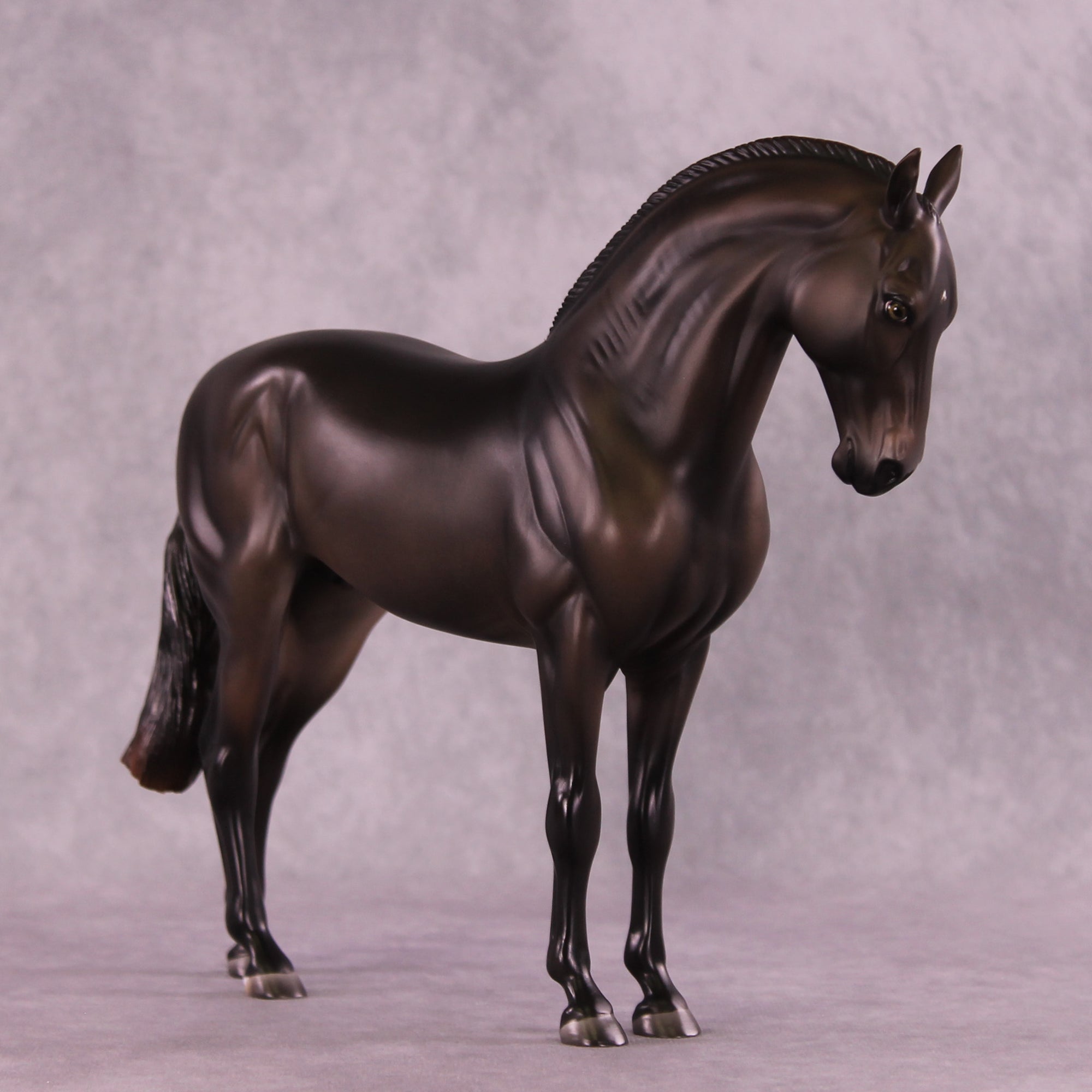 Mistral Sample FCM Andalusian by Ashley Palmer SS925