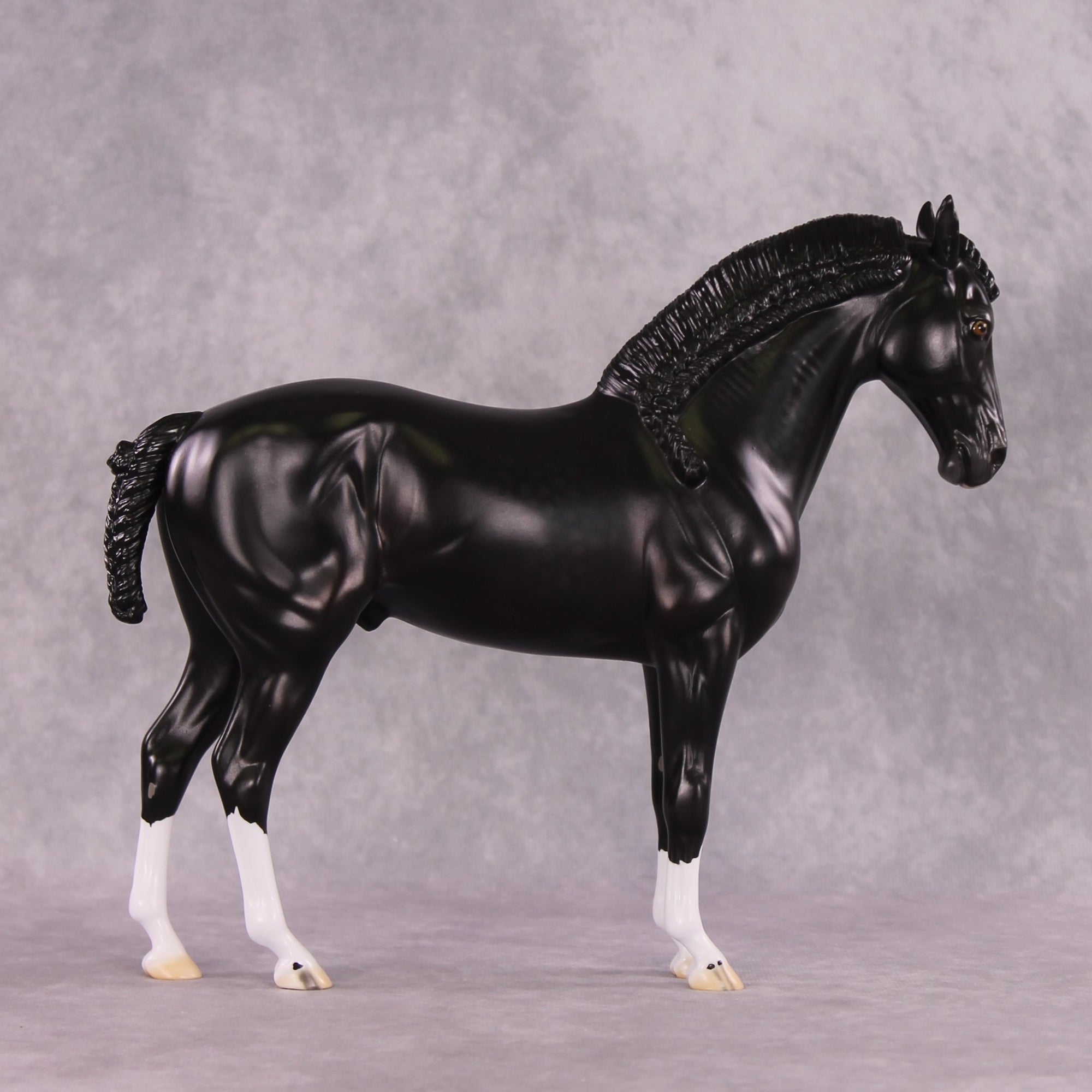 “Petruchio” LE-15  FCM Andalusian By Ellen Robbins CL25