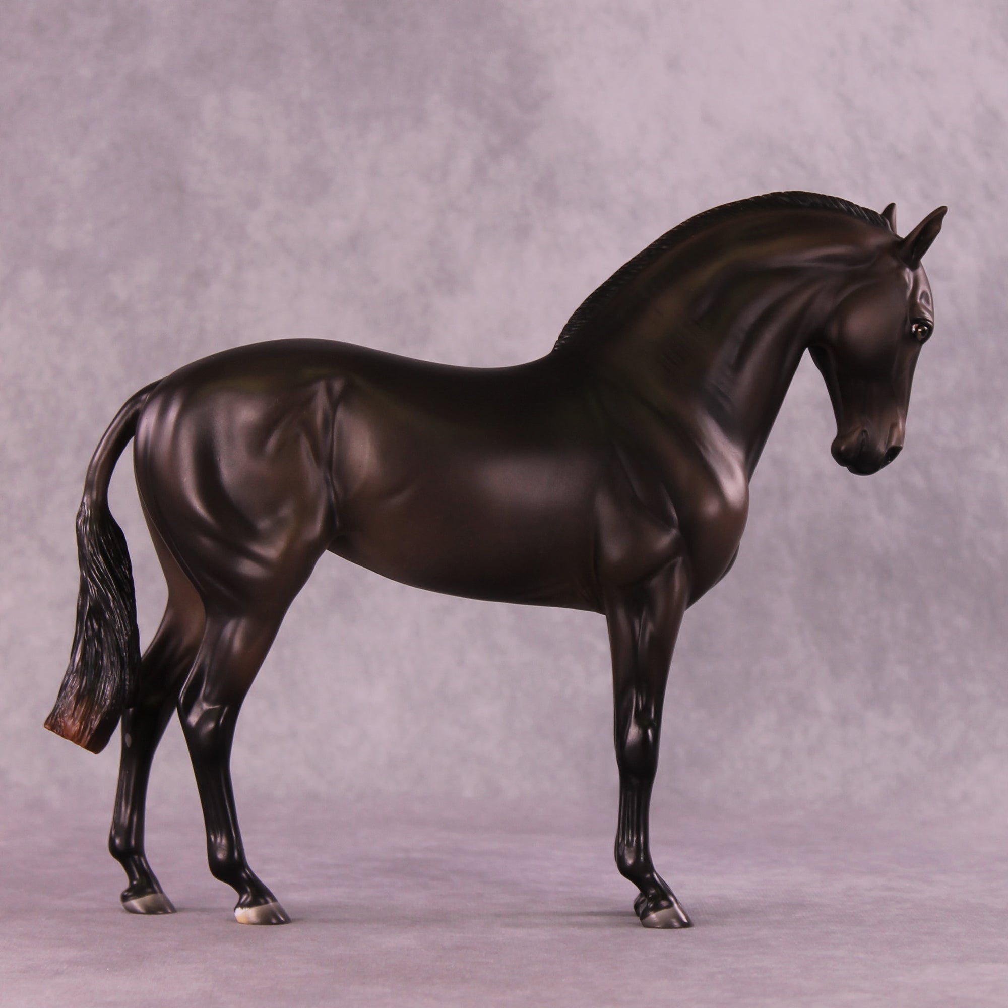 Mistral Sample FCM Andalusian by Ashley Palmer SS925