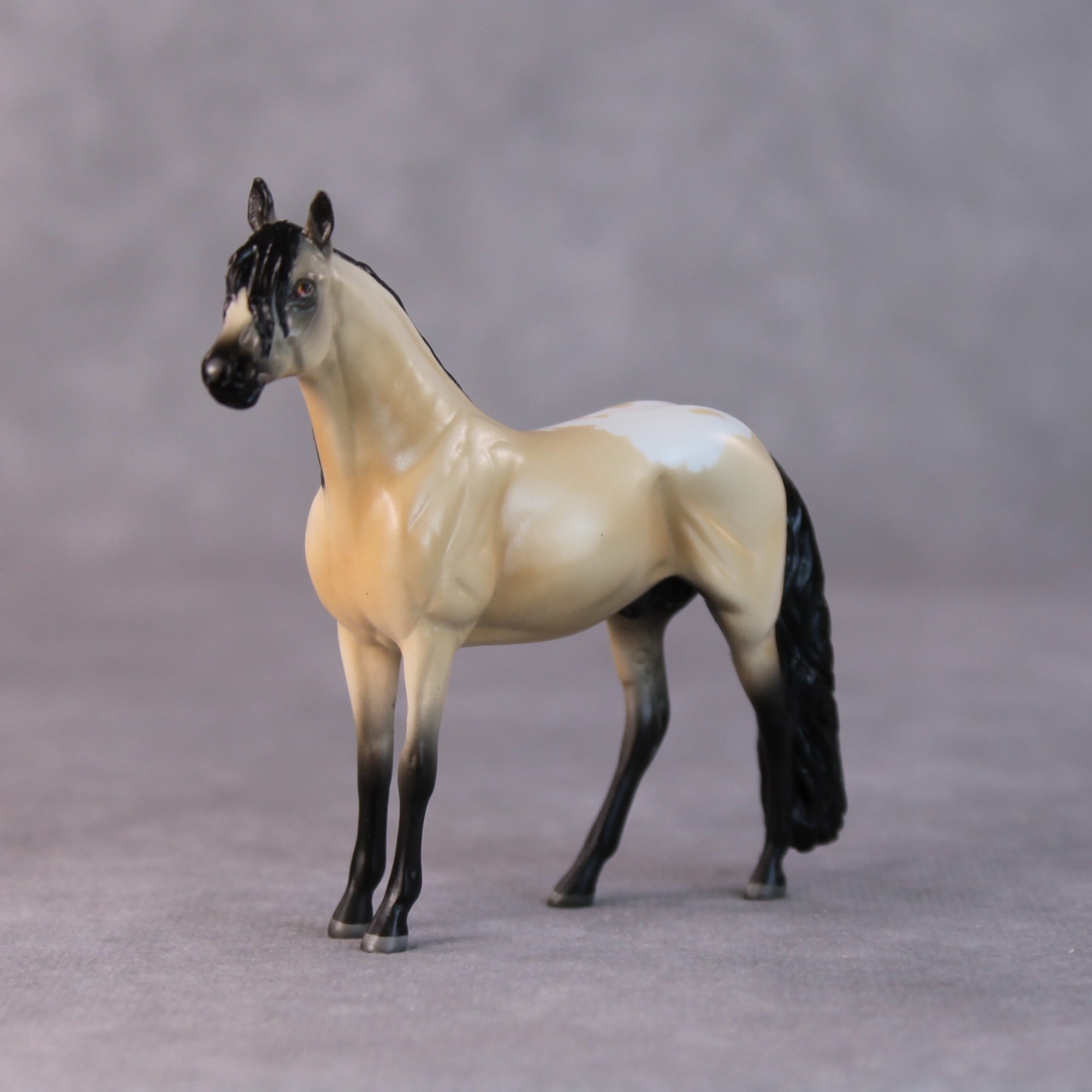 Brad OOAK Buckskin Andalusian Chip by Jamie Adamson HS24