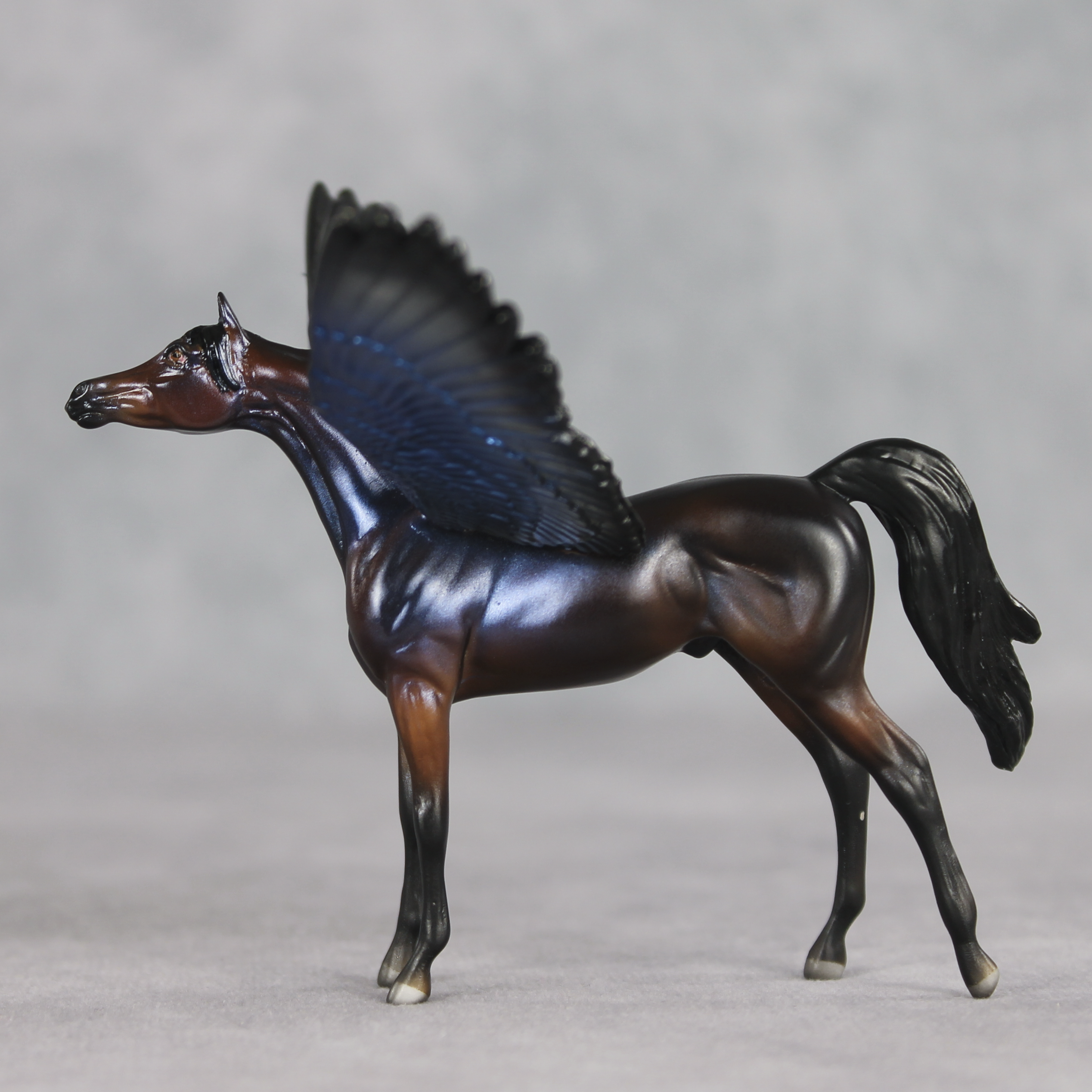 Blue Morpho FCM LE-2 FCM Chip Arabian by Angela Marleau FTF26