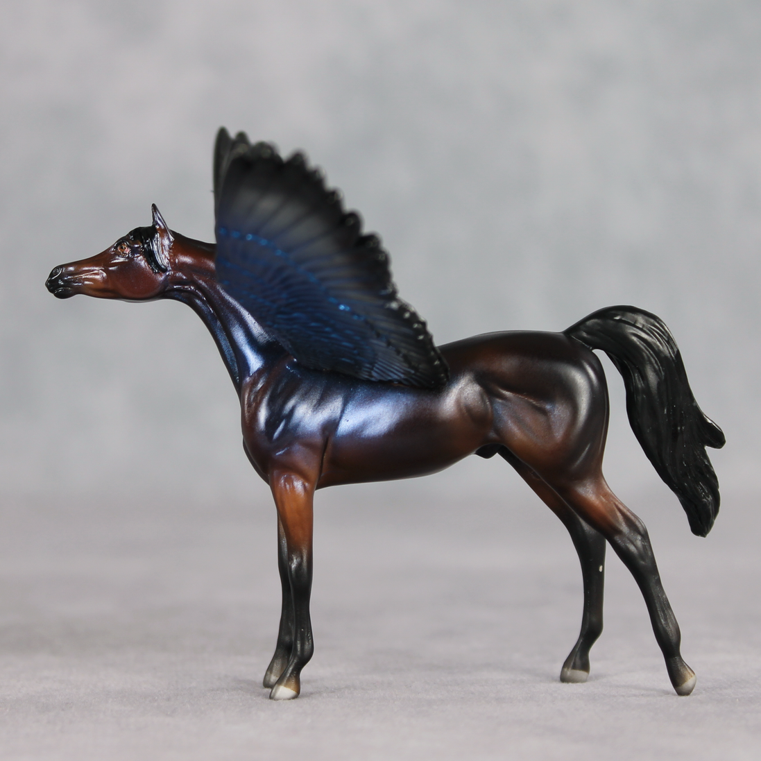 Blue Morpho FCM LE-2 FCM Chip Arabian by Angela Marleau FTF26