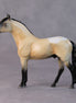 Brad OOAK Buckskin Andalusian Chip by Jamie Adamson HS24