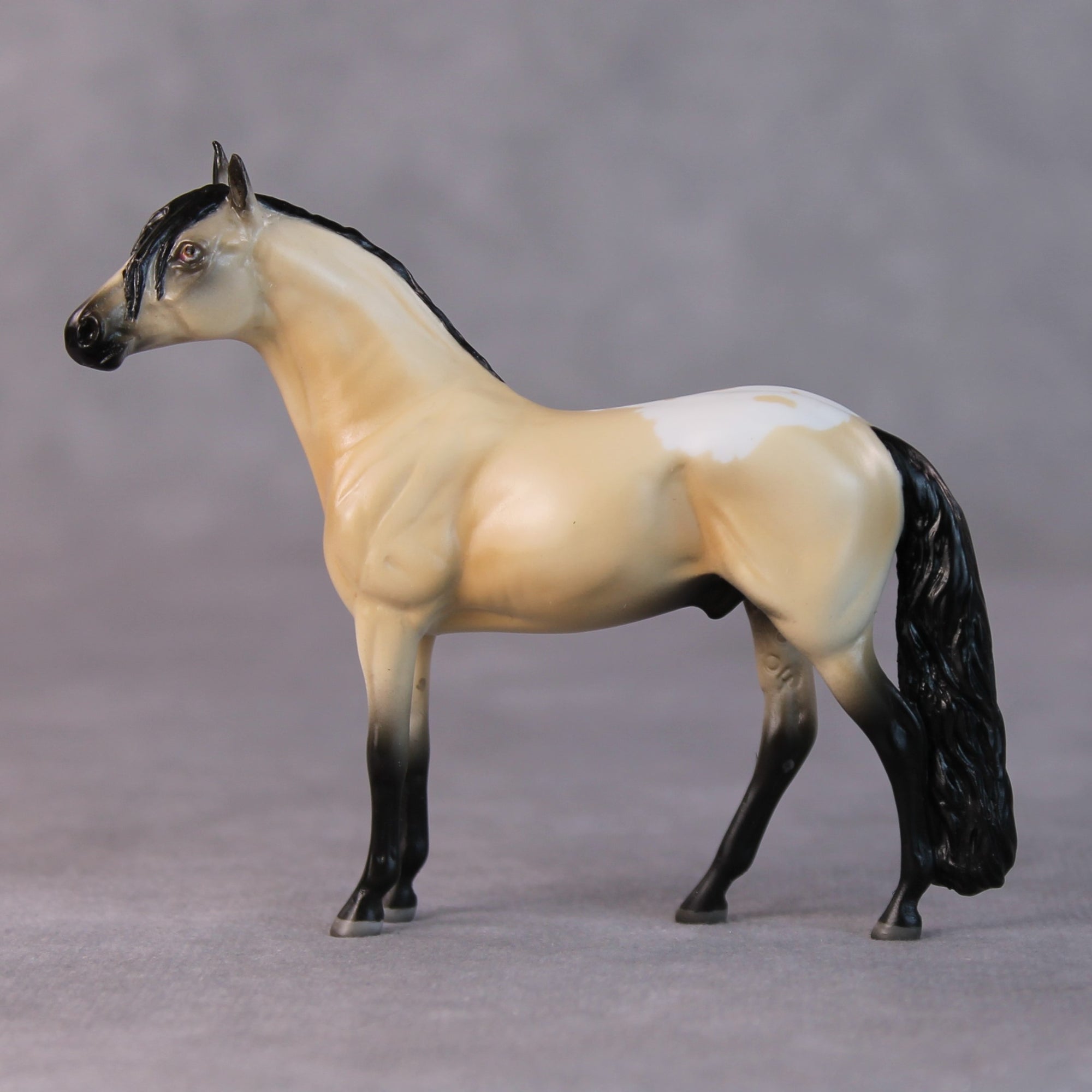 Brad OOAK Buckskin Andalusian Chip by Jamie Adamson HS24