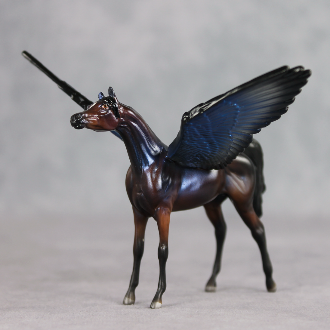 Blue Morpho FCM LE-2 FCM Chip Arabian by Angela Marleau FTF26