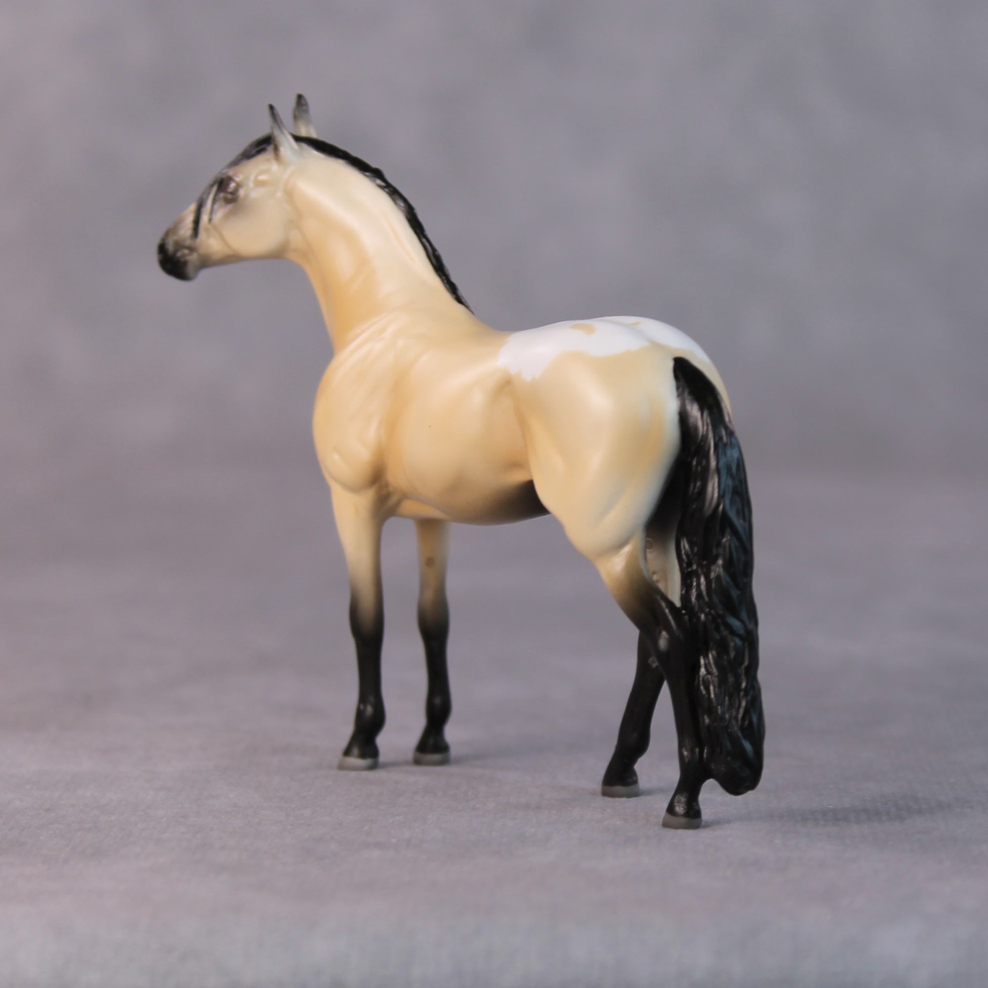 Brad OOAK Buckskin Andalusian Chip by Jamie Adamson HS24