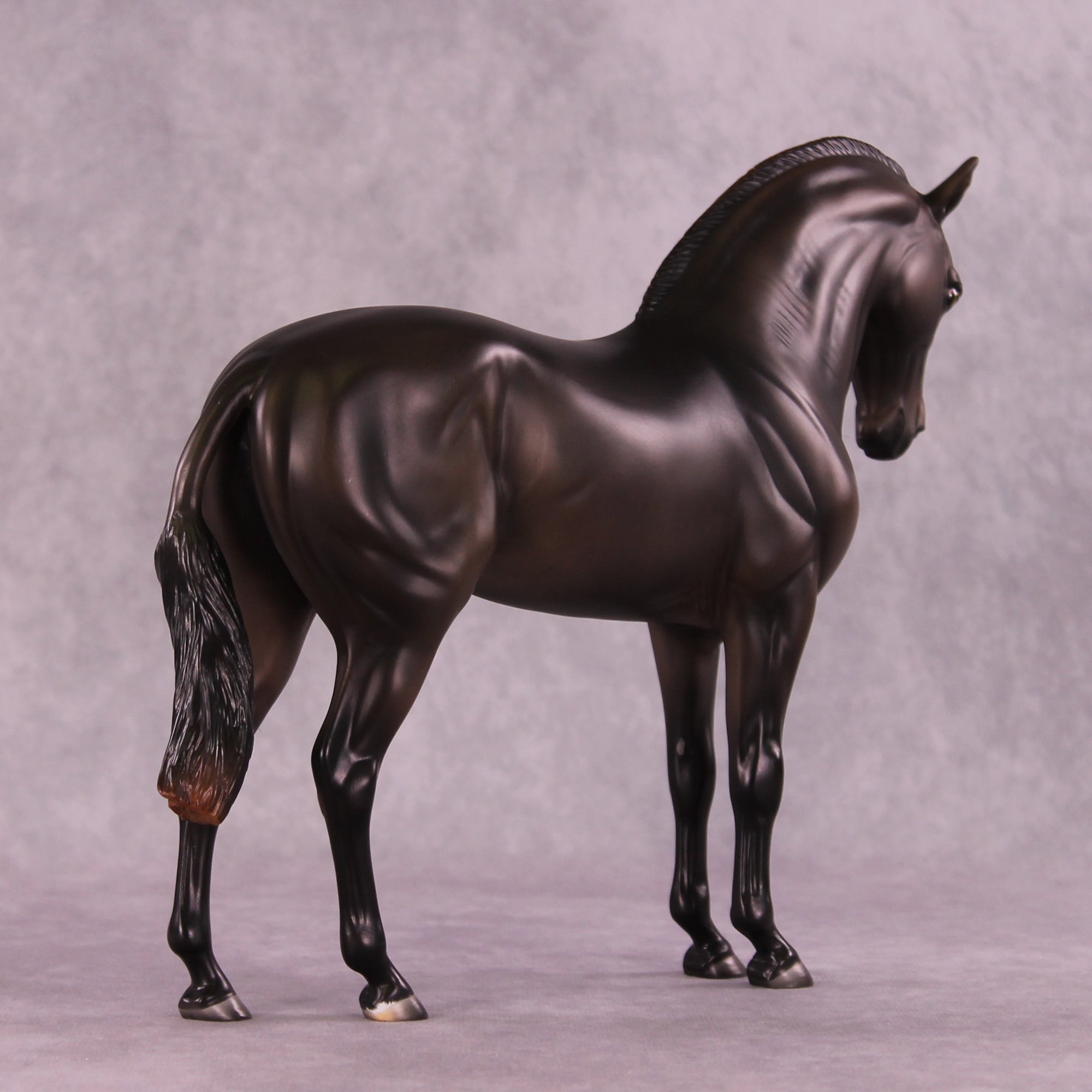 Mistral Sample FCM Andalusian by Ashley Palmer SS925