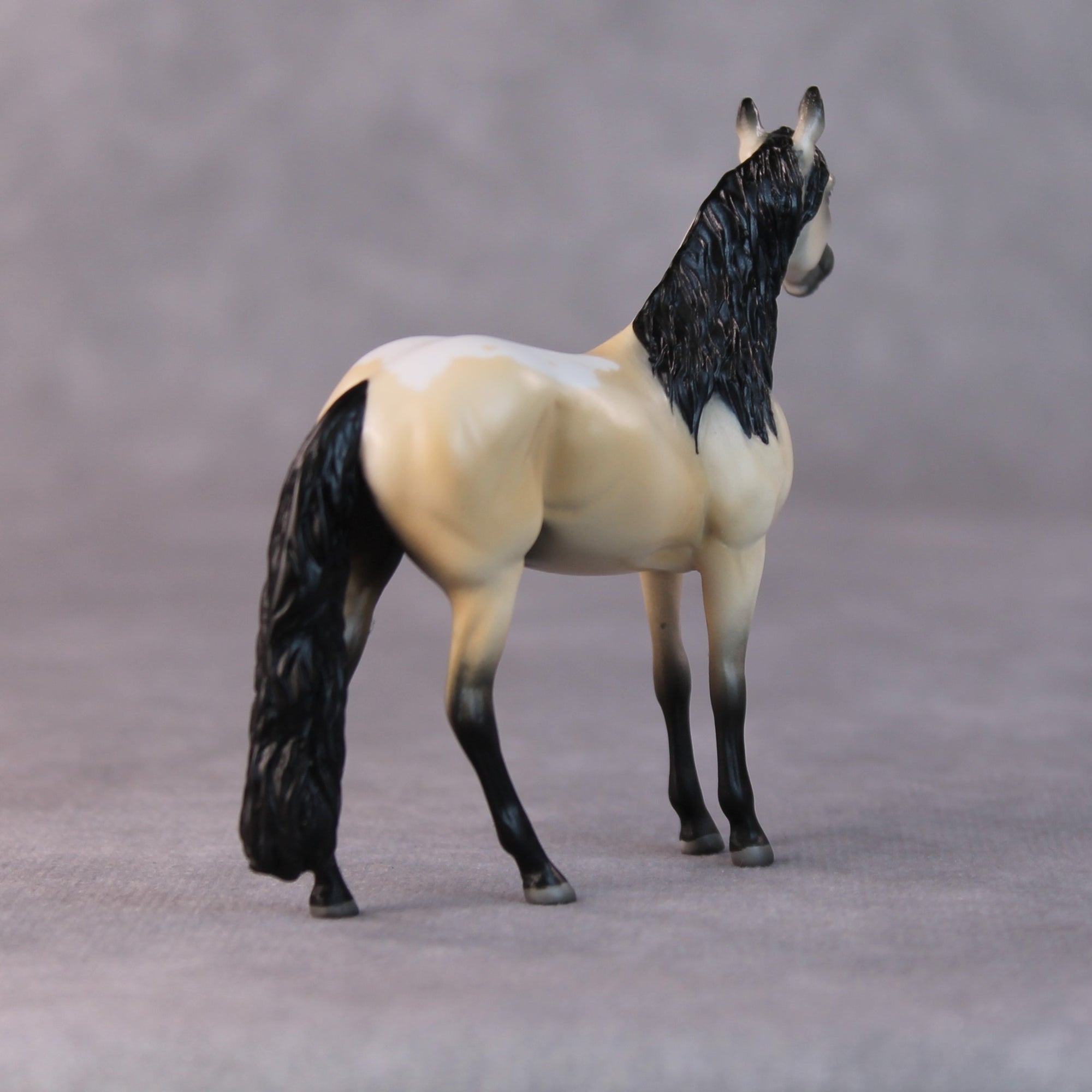 Brad OOAK Buckskin Andalusian Chip by Jamie Adamson HS24