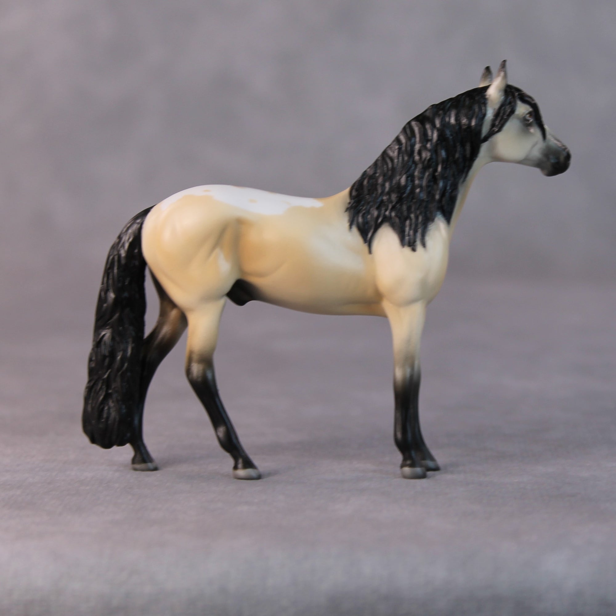 Brad OOAK Buckskin Andalusian Chip by Jamie Adamson HS24