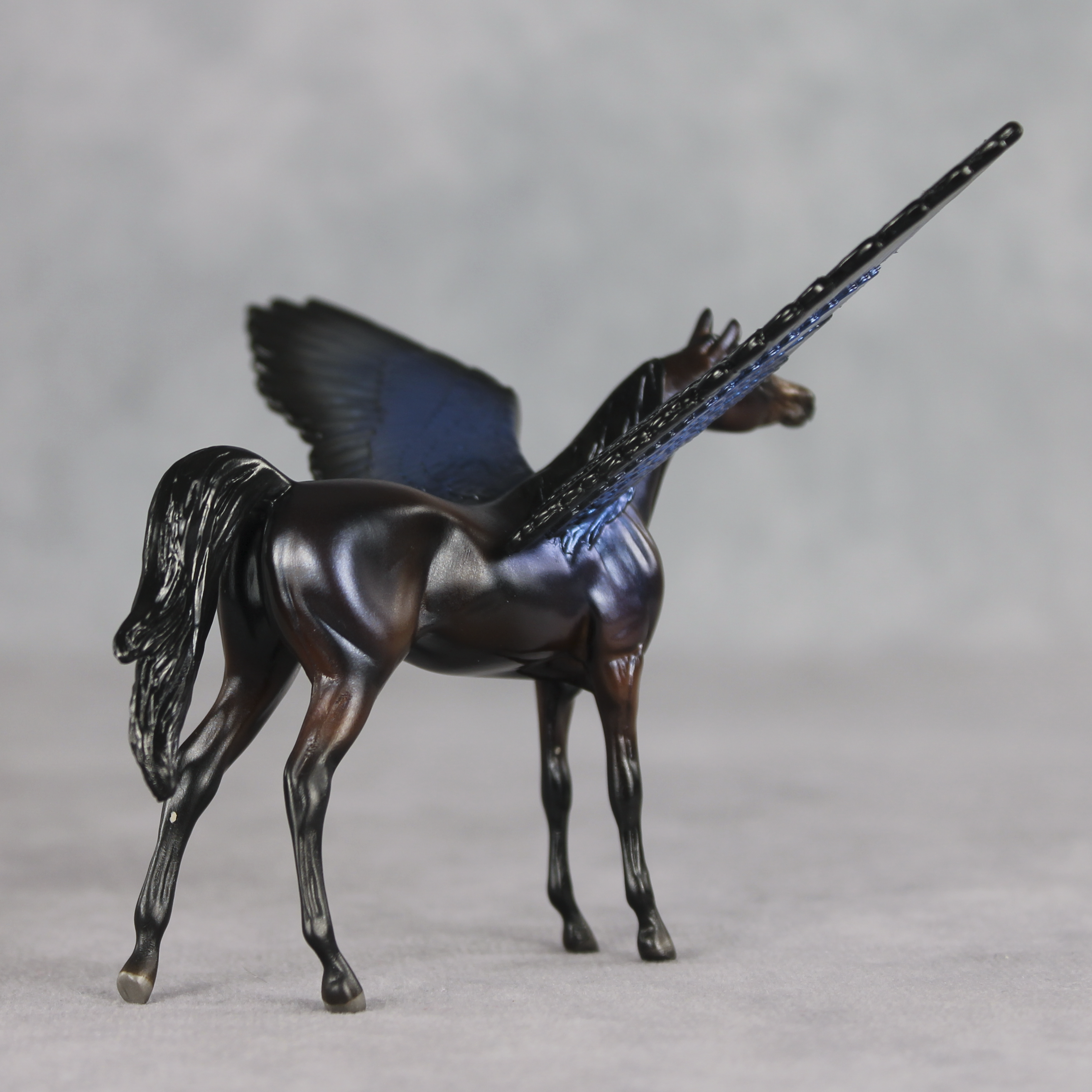 Blue Morpho FCM LE-2 FCM Chip Arabian by Angela Marleau FTF26