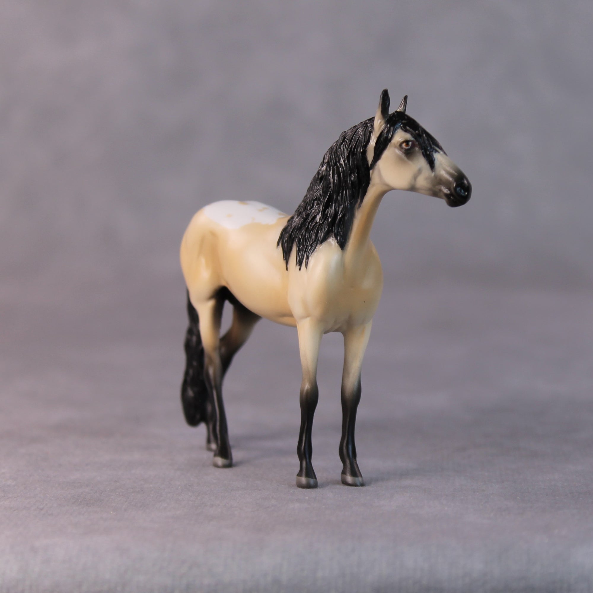 Brad OOAK Buckskin Andalusian Chip by Jamie Adamson HS24
