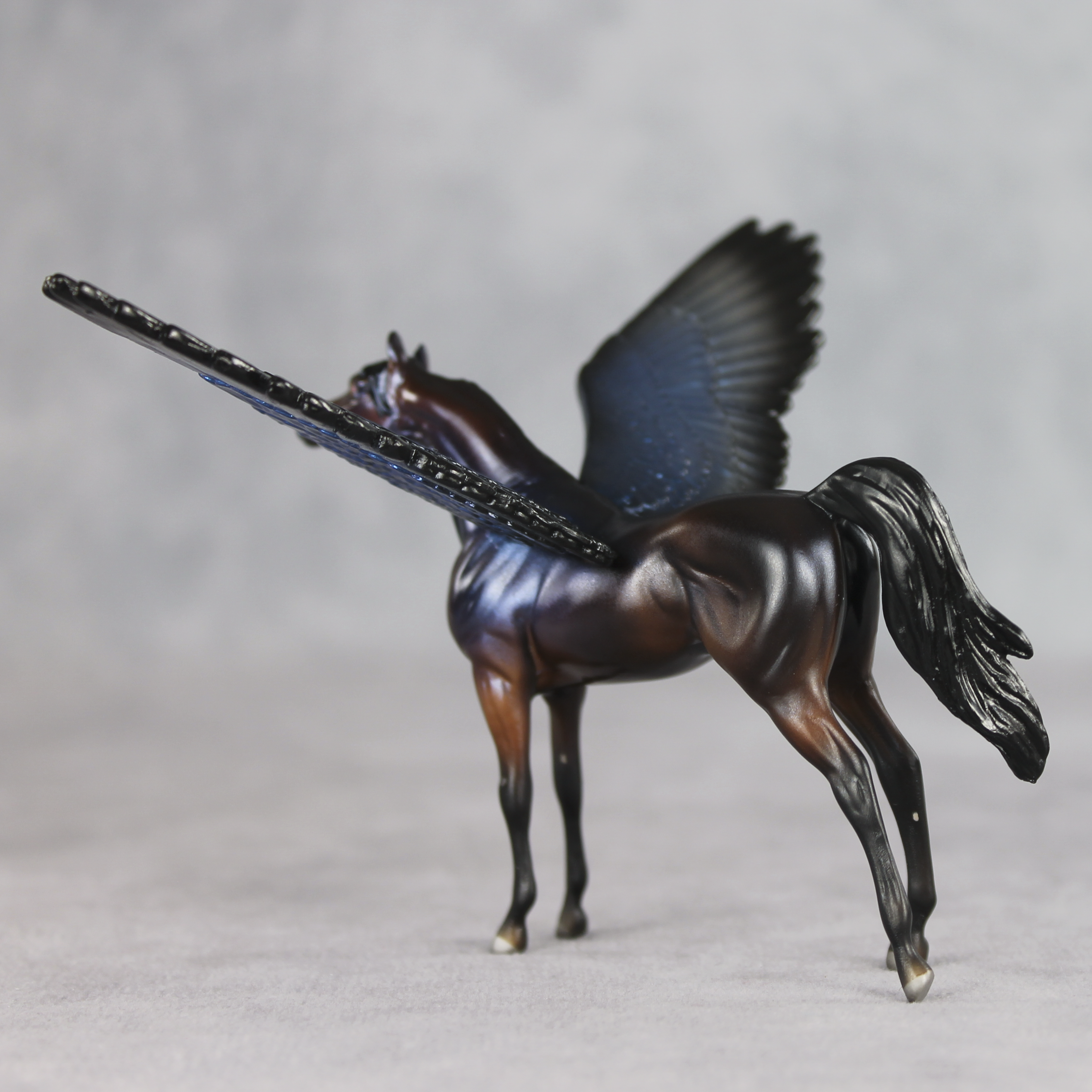 Blue Morpho FCM LE-2 FCM Chip Arabian by Angela Marleau FTF26