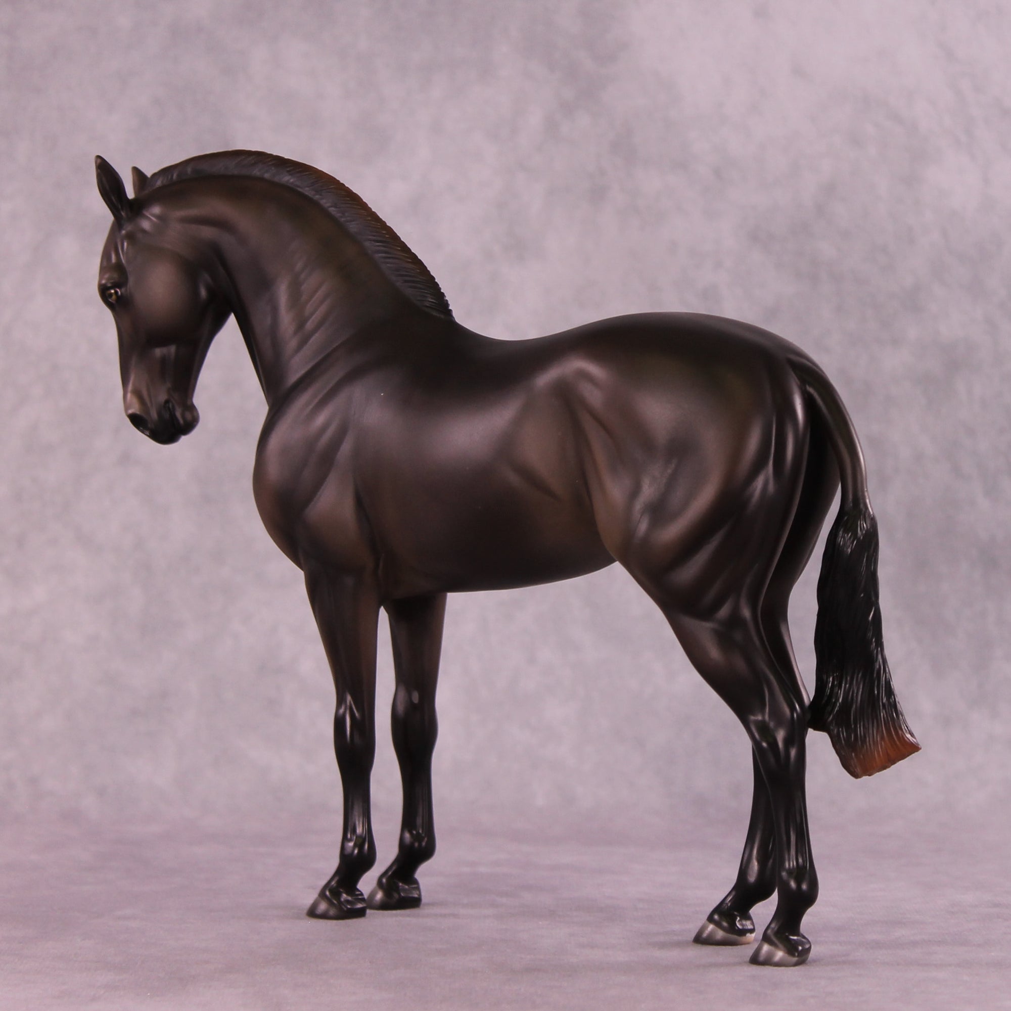 Mistral Sample FCM Andalusian by Ashley Palmer SS925