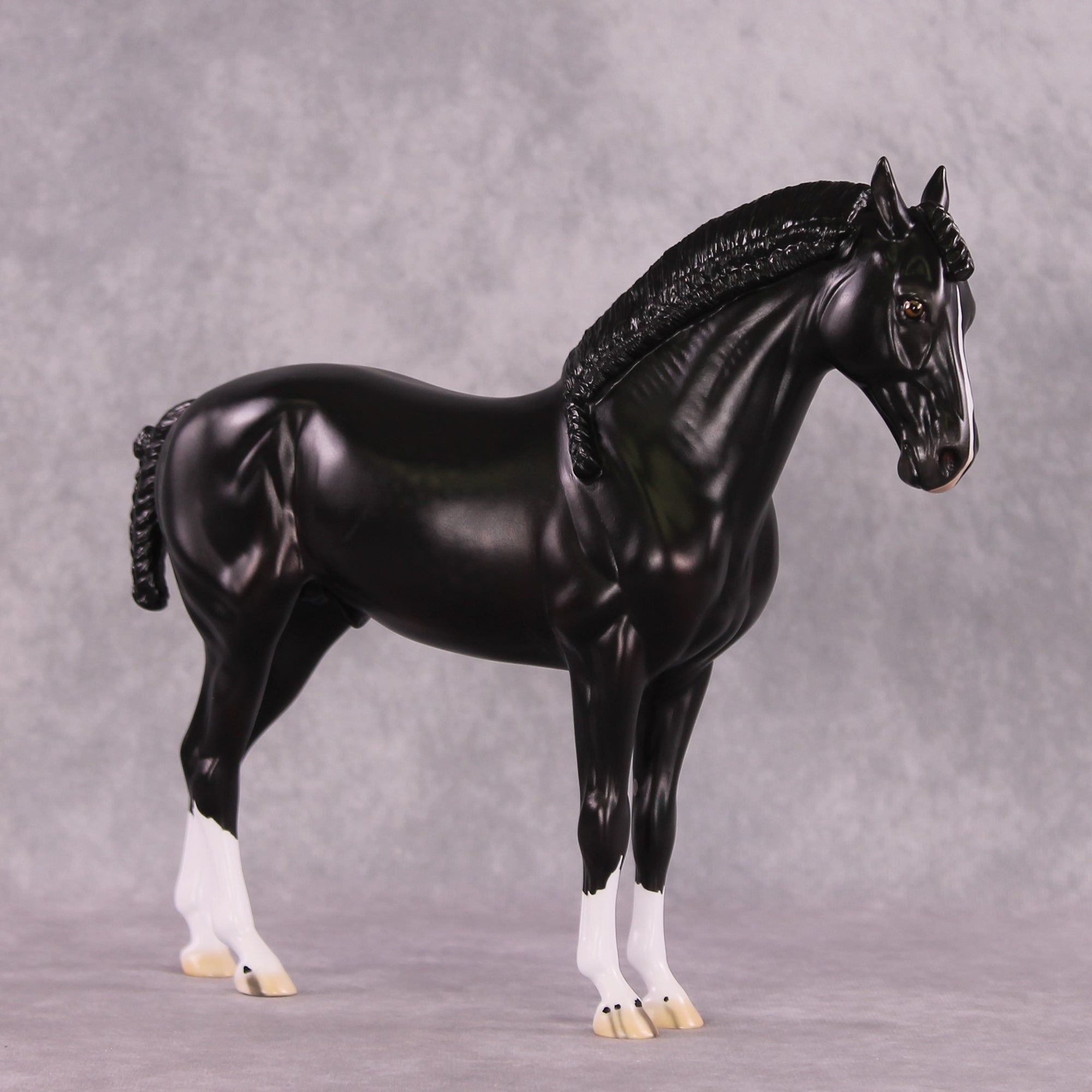 “Petruchio” LE-15  FCM Andalusian By Ellen Robbins CL25