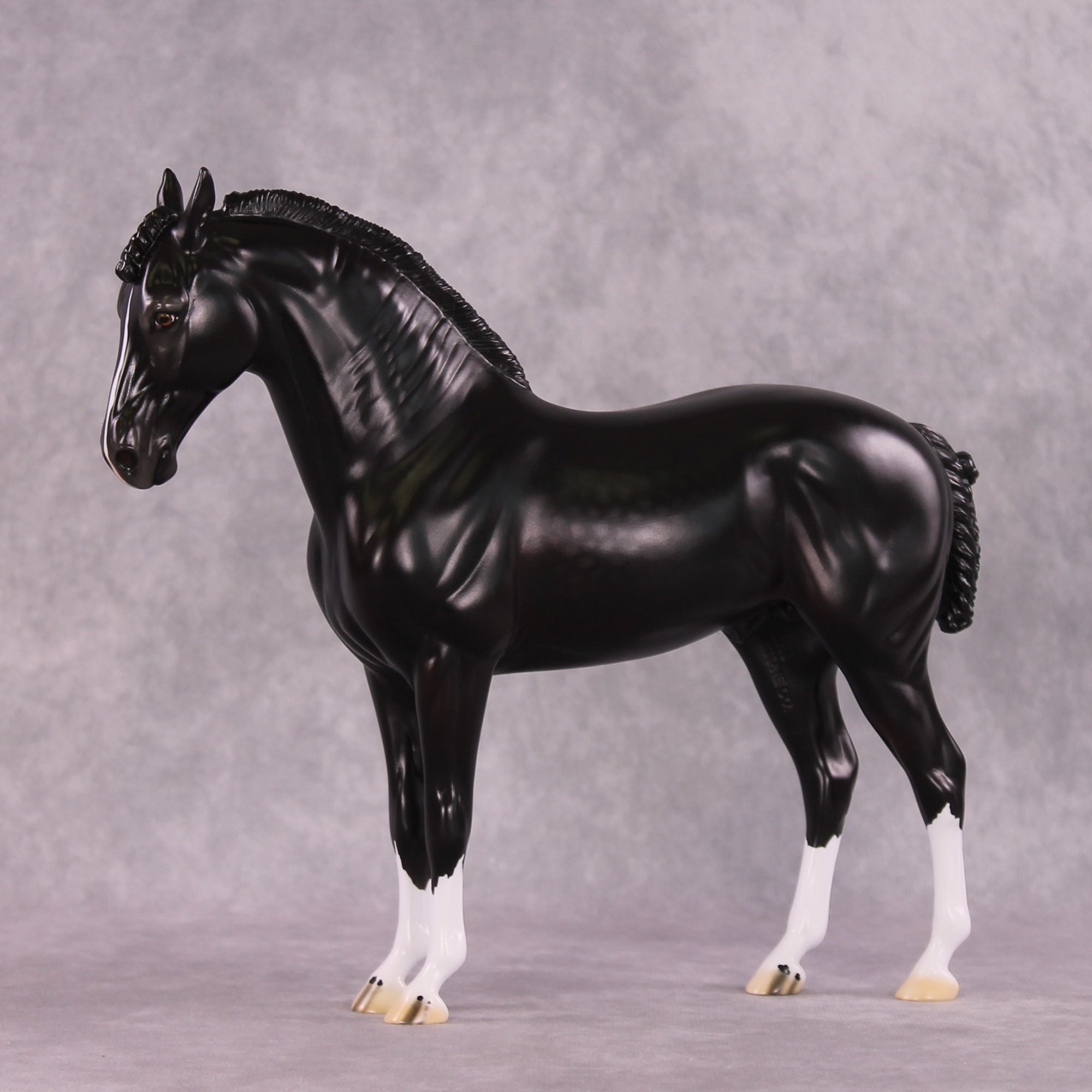 “Petruchio” LE-15  FCM Andalusian By Ellen Robbins CL25