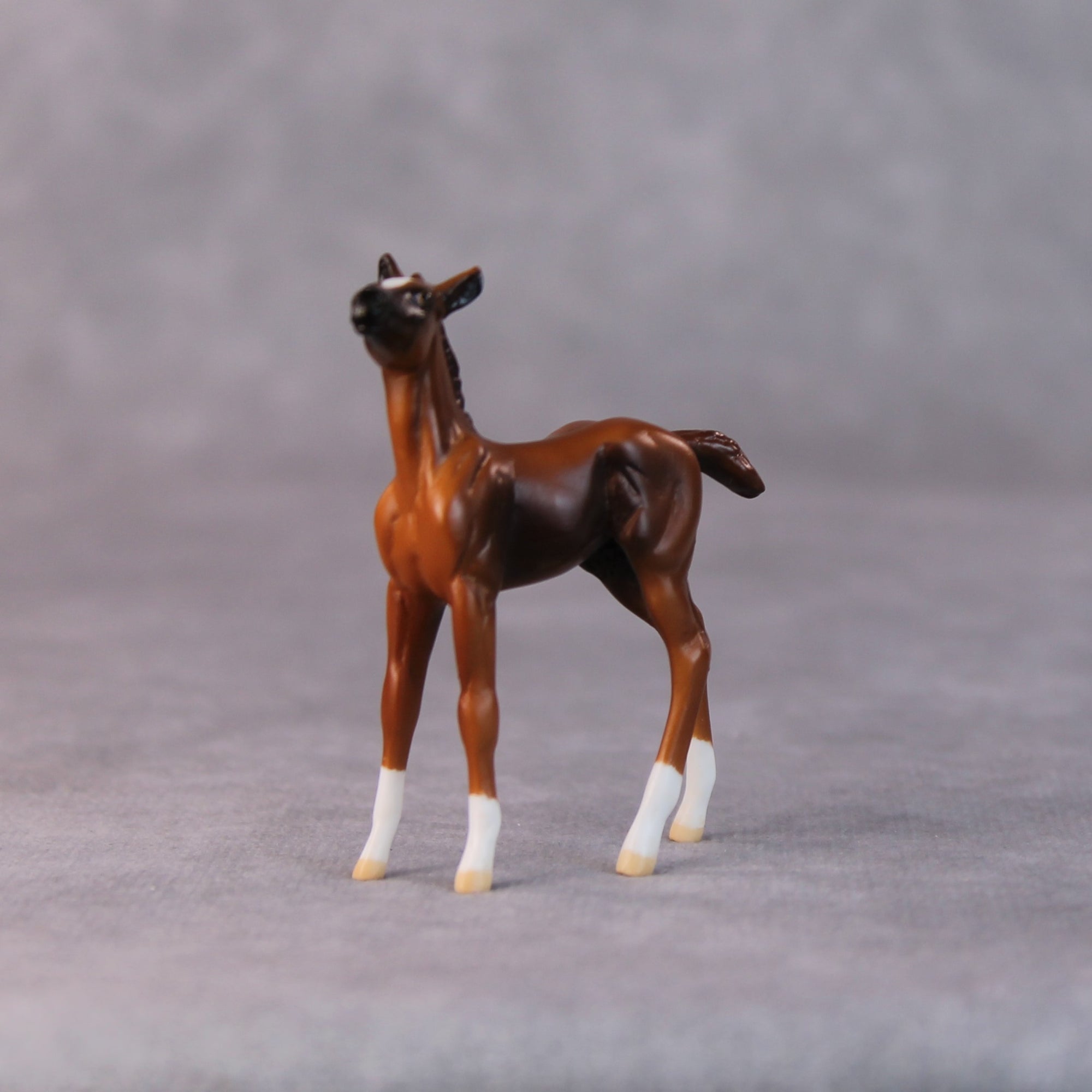 Sally OOAK Chestnut Foal Chip by Jamie Adamson HS24