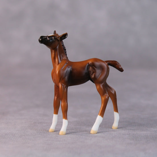 Sally OOAK Chestnut Foal Chip by Jamie Adamson HS24