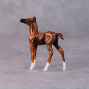 Sally OOAK Chestnut Foal Chip by Jamie Adamson HS24