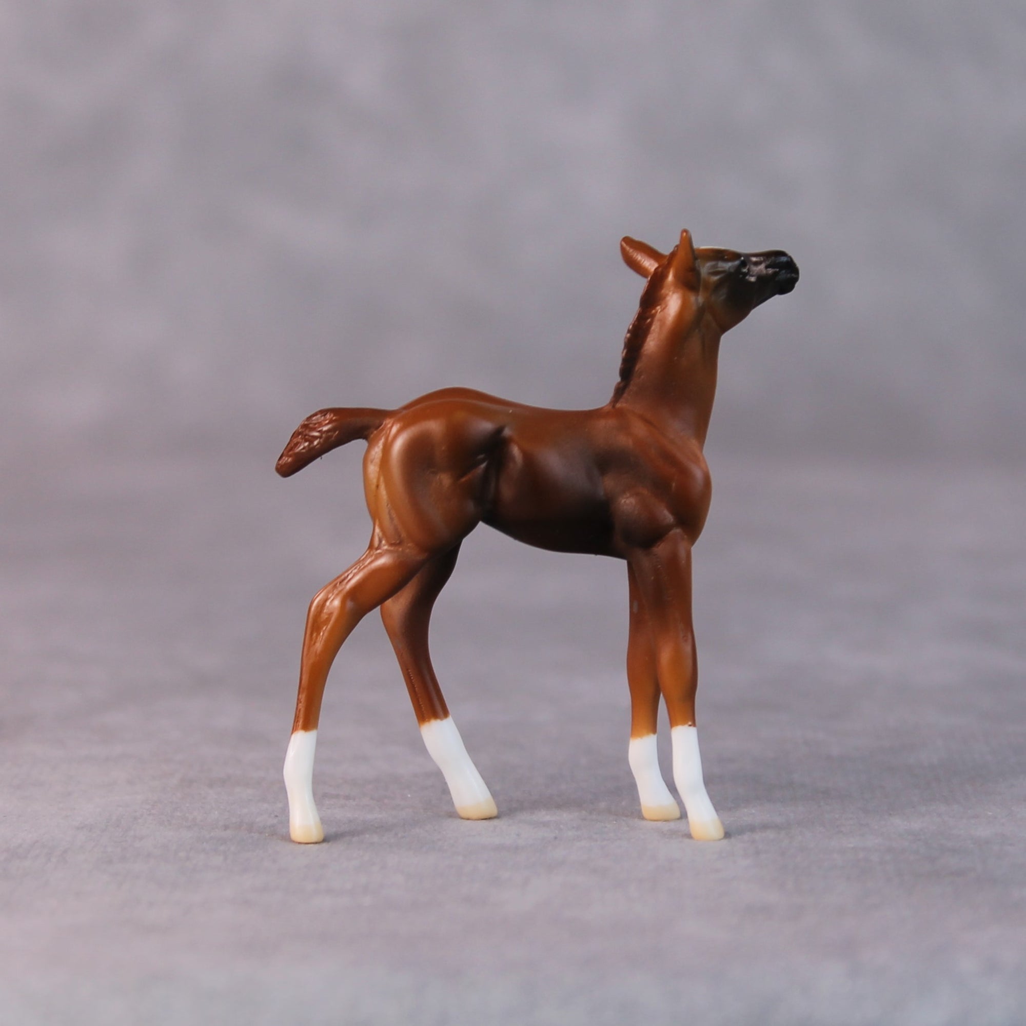 Sally OOAK Chestnut Foal Chip by Jamie Adamson HS24