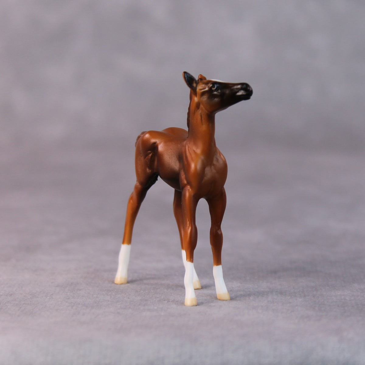 Sally OOAK Chestnut Foal Chip by Jamie Adamson HS24