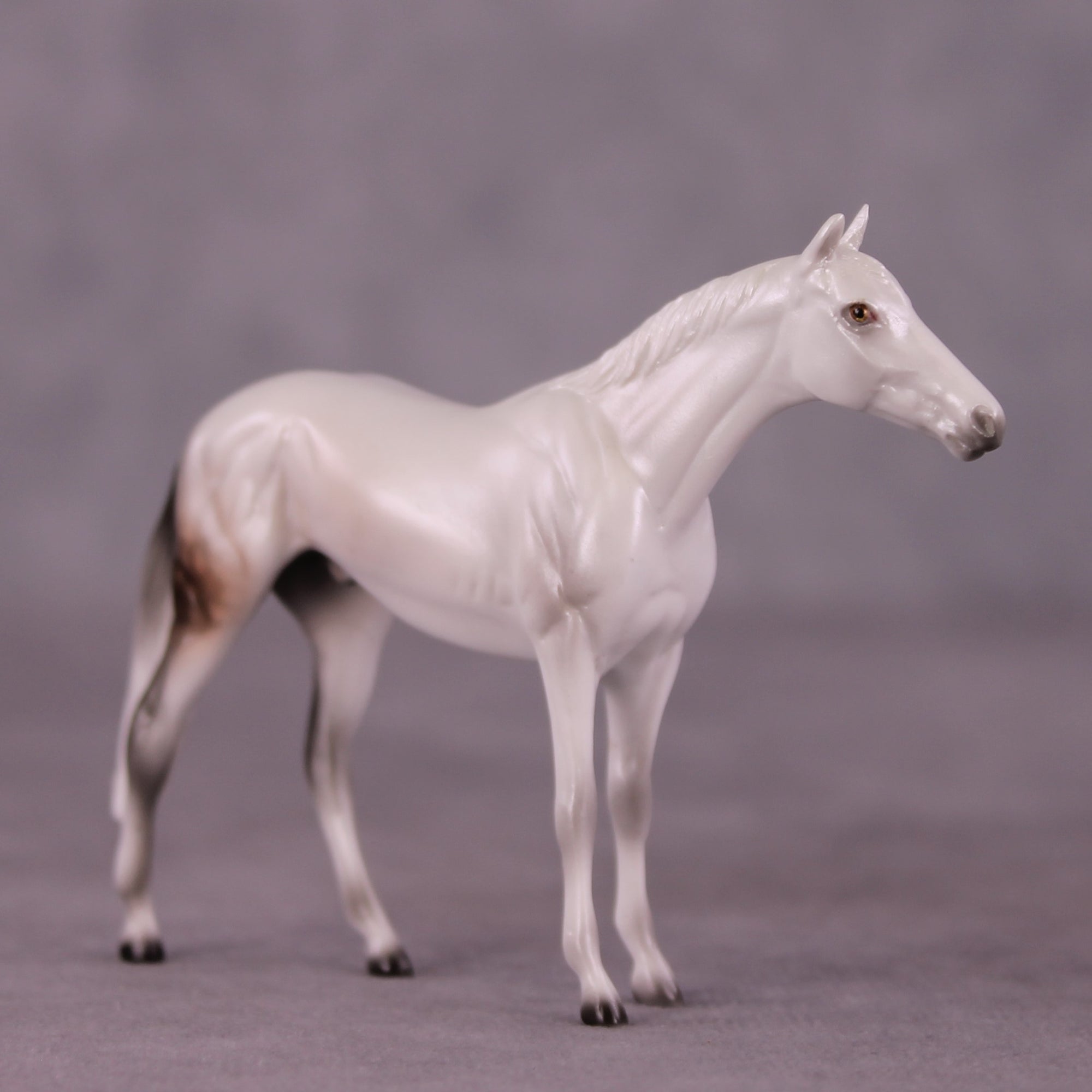 Stone Horses Midsummer Celebration Surprise Chips: The Thoroughbred Chips Grab Bags by Ellen Robbins SCD25