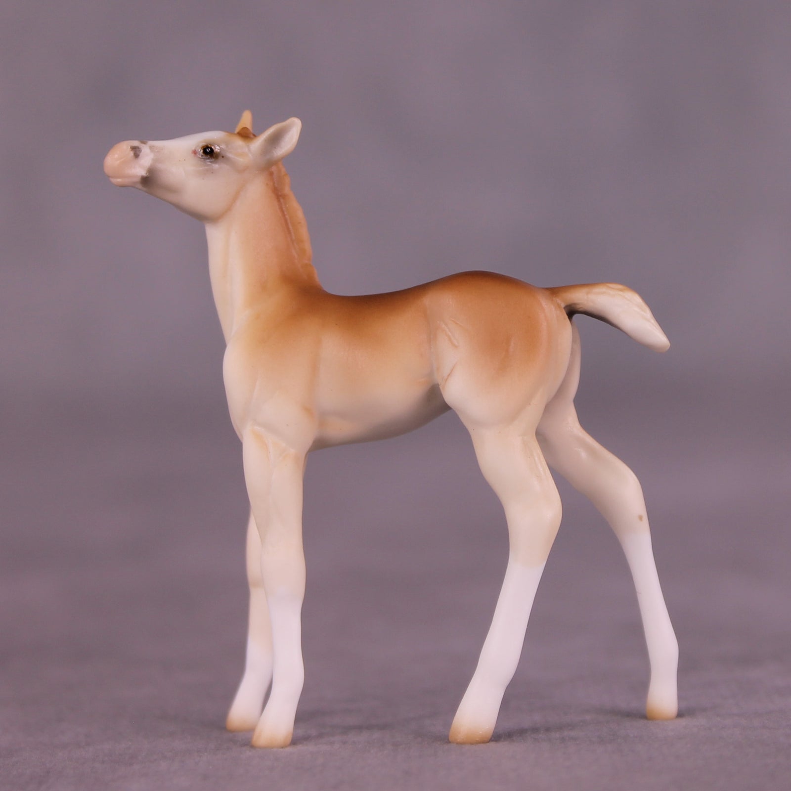 Lucky Penny OOAK Chip Foal by Ellen Robbins LHS25