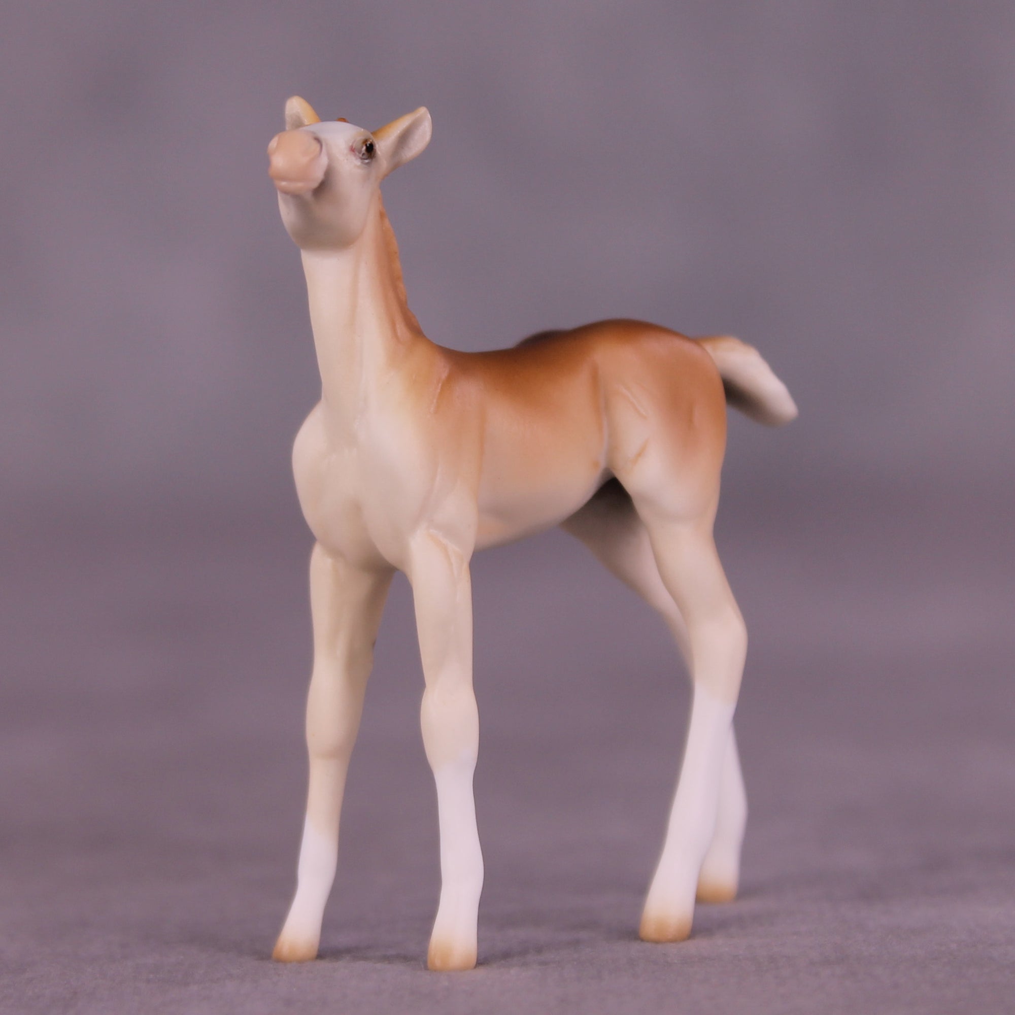 Lucky Penny OOAK Chip Foal by Ellen Robbins LHS25