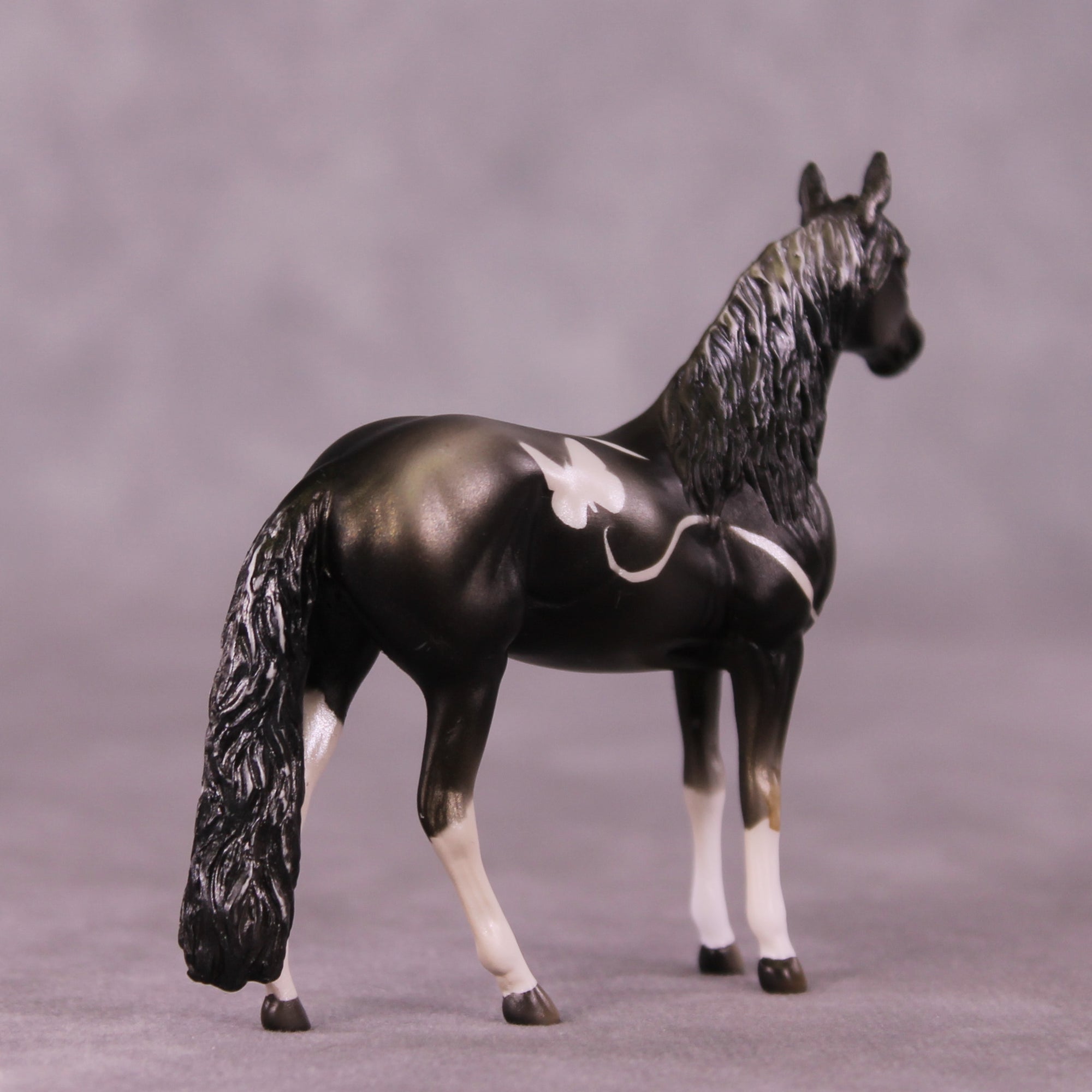Duskywing OOAK Andalusian Chip by Kike Duarte EQ25