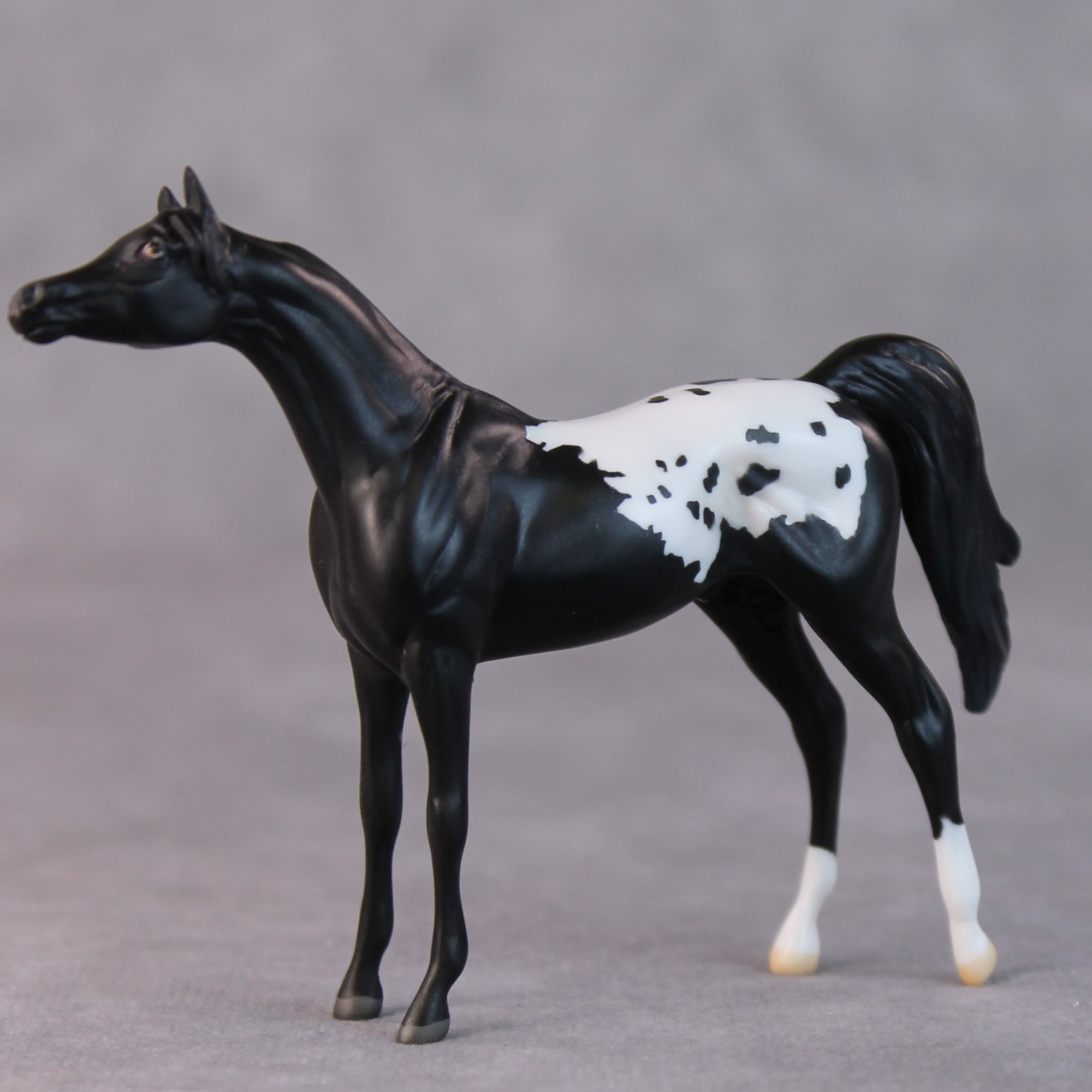 Bonnie OOAK Black Appaloosa Arabian Chip By Jamie Adamson HS24