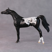 Bonnie OOAK Black Appaloosa Arabian Chip By Jamie Adamson HS24