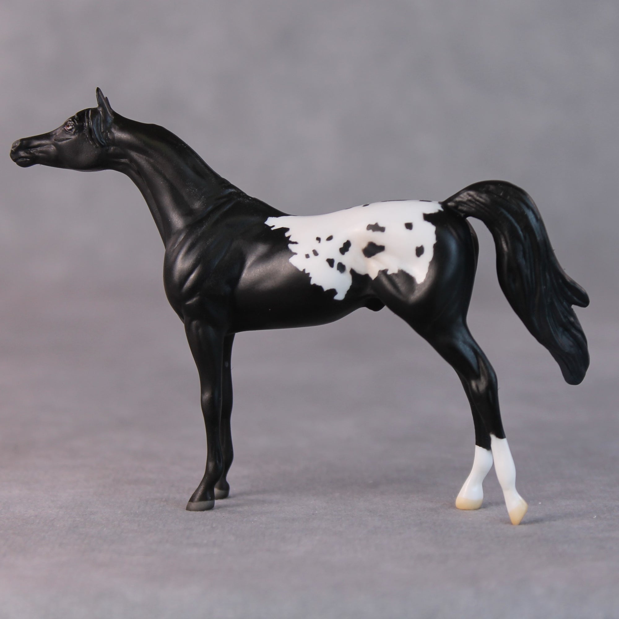 Bonnie OOAK Black Appaloosa Arabian Chip By Jamie Adamson HS24
