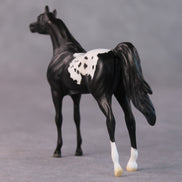 Bonnie OOAK Black Appaloosa Arabian Chip By Jamie Adamson HS24