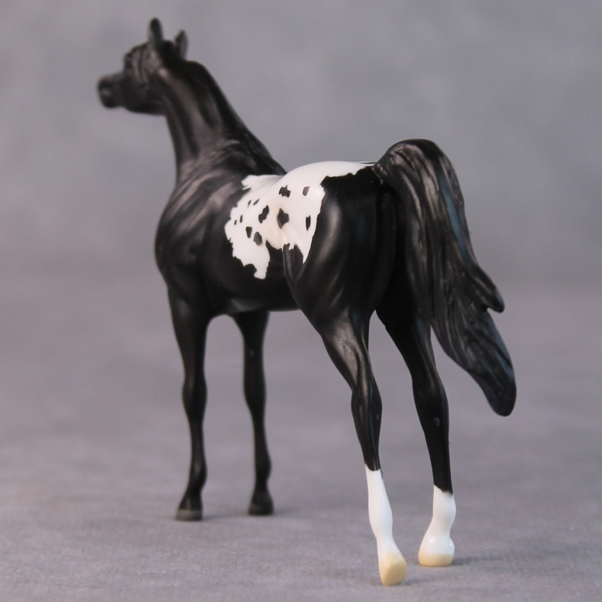 Bonnie OOAK Black Appaloosa Arabian Chip By Jamie Adamson HS24