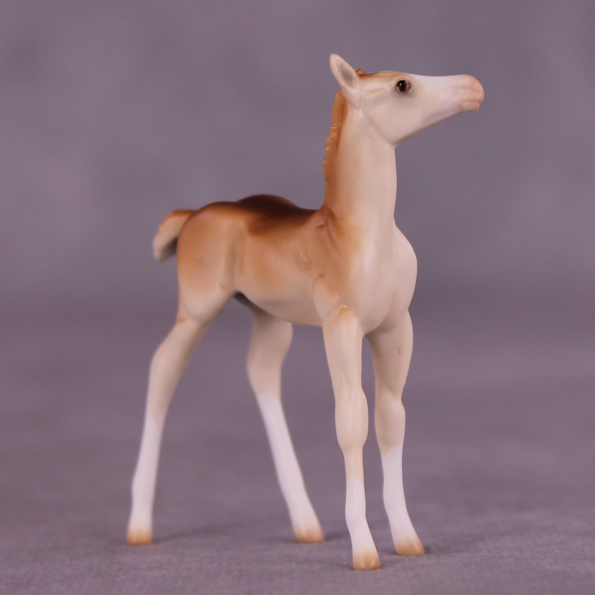 Lucky Penny OOAK Chip Foal by Ellen Robbins LHS25