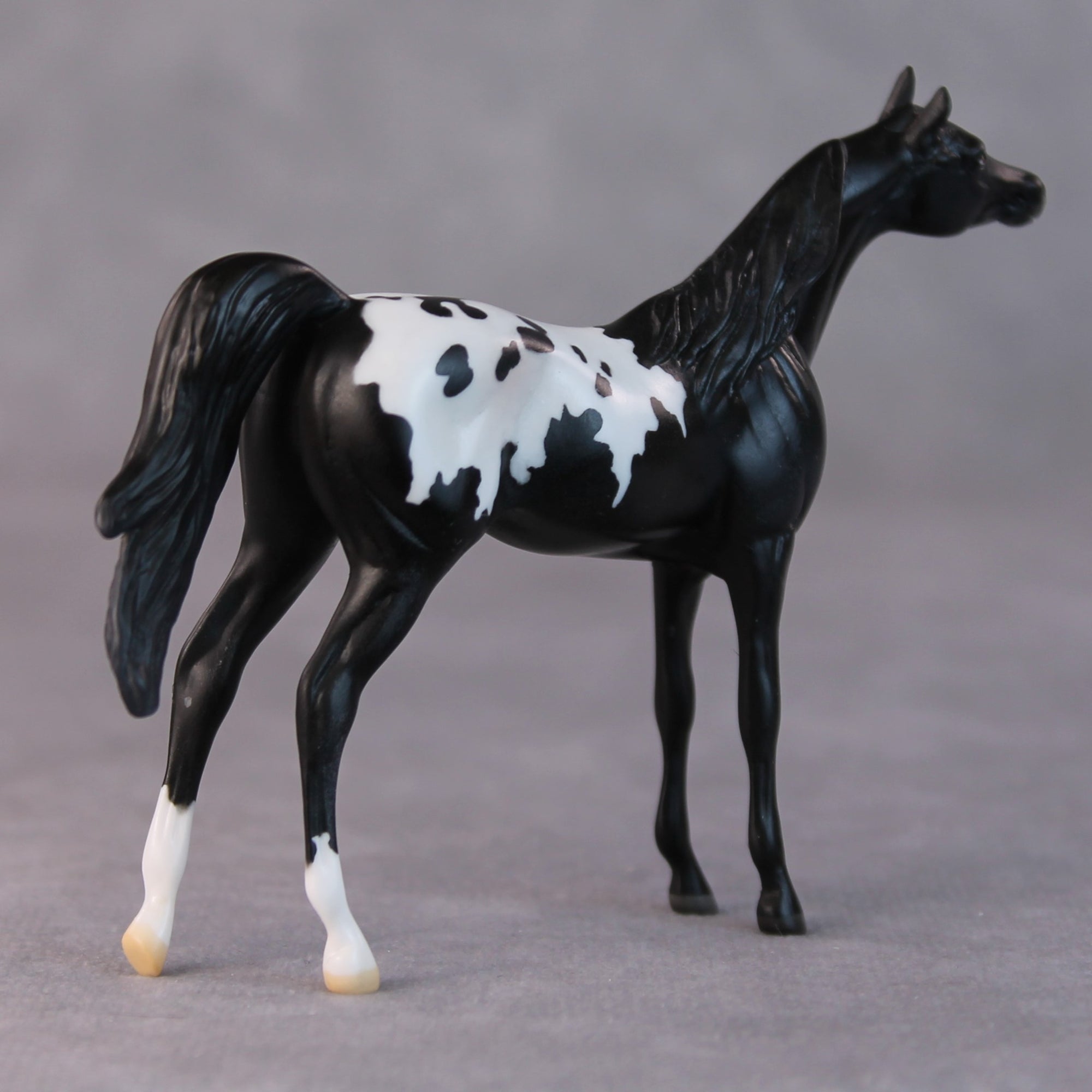 Bonnie OOAK Black Appaloosa Arabian Chip By Jamie Adamson HS24