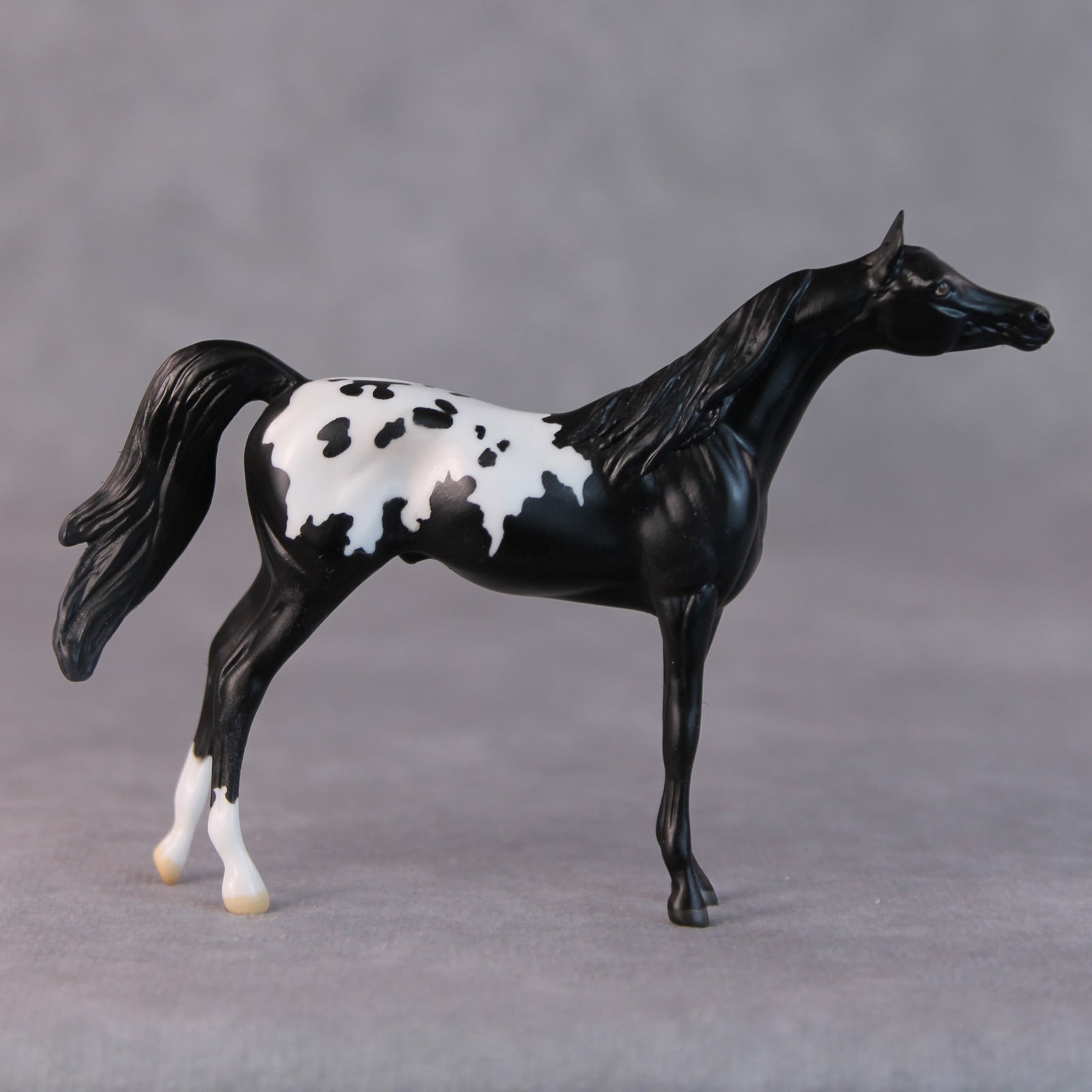 Bonnie OOAK Black Appaloosa Arabian Chip By Jamie Adamson HS24