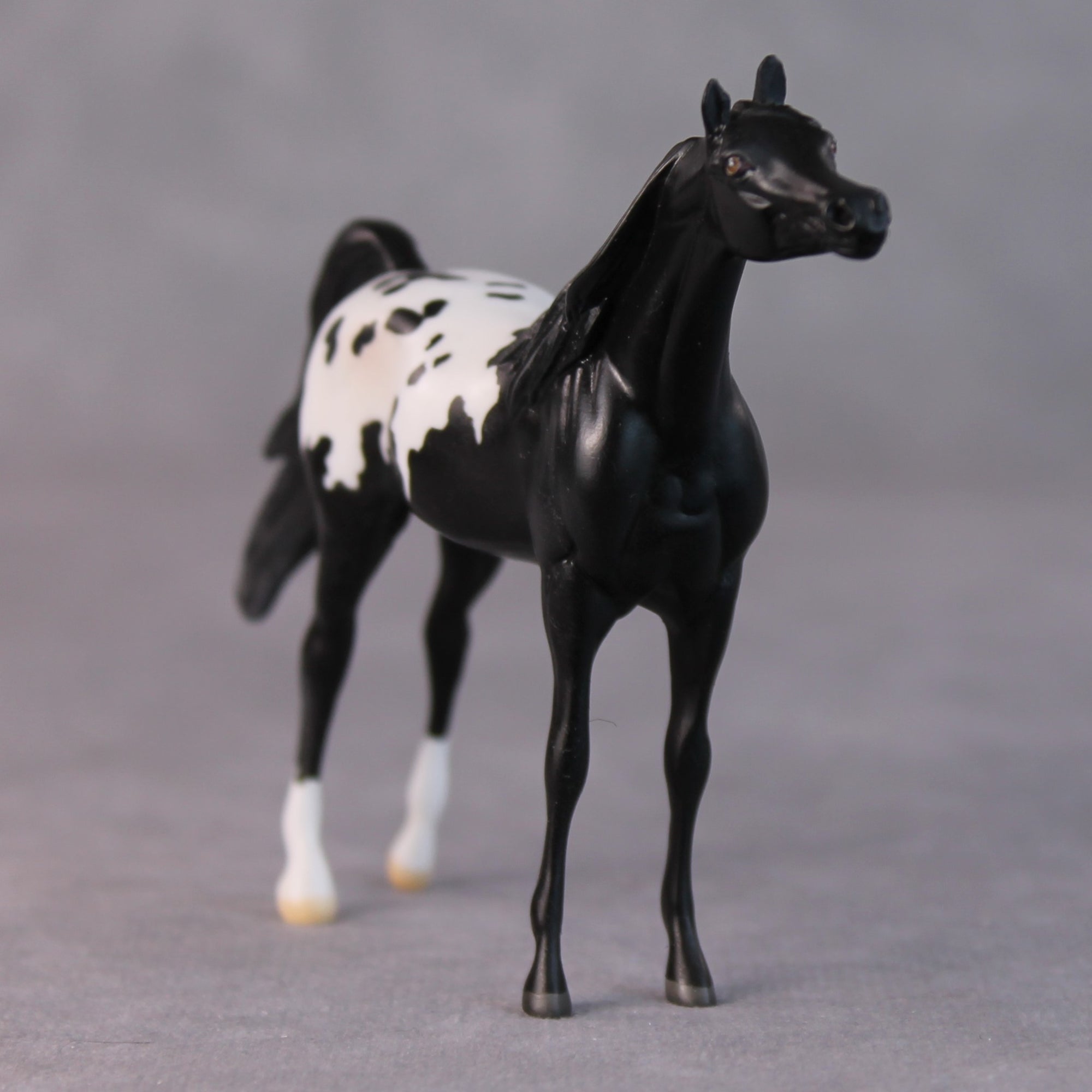 Bonnie OOAK Black Appaloosa Arabian Chip By Jamie Adamson HS24