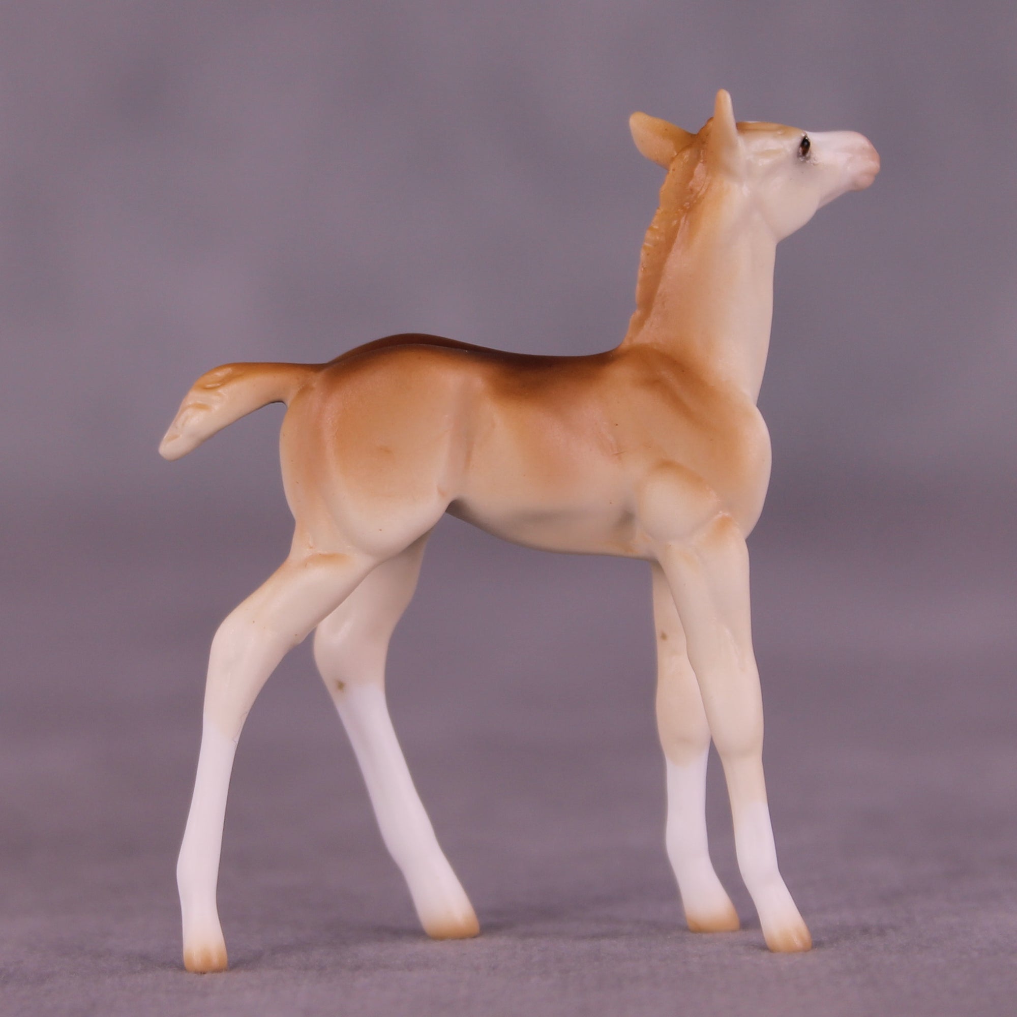 Lucky Penny OOAK Chip Foal by Ellen Robbins LHS25